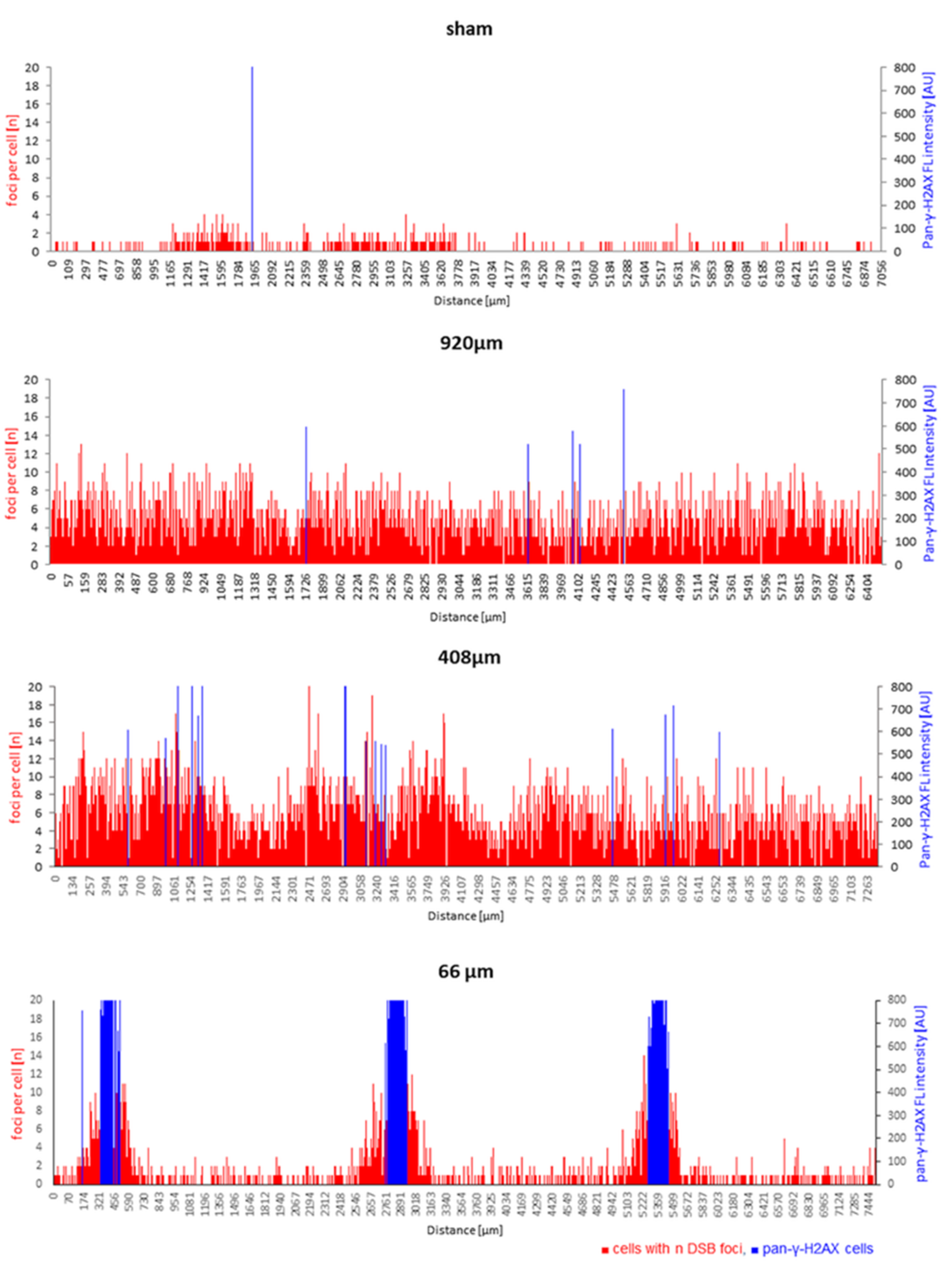 Cancers 14 01545 g006