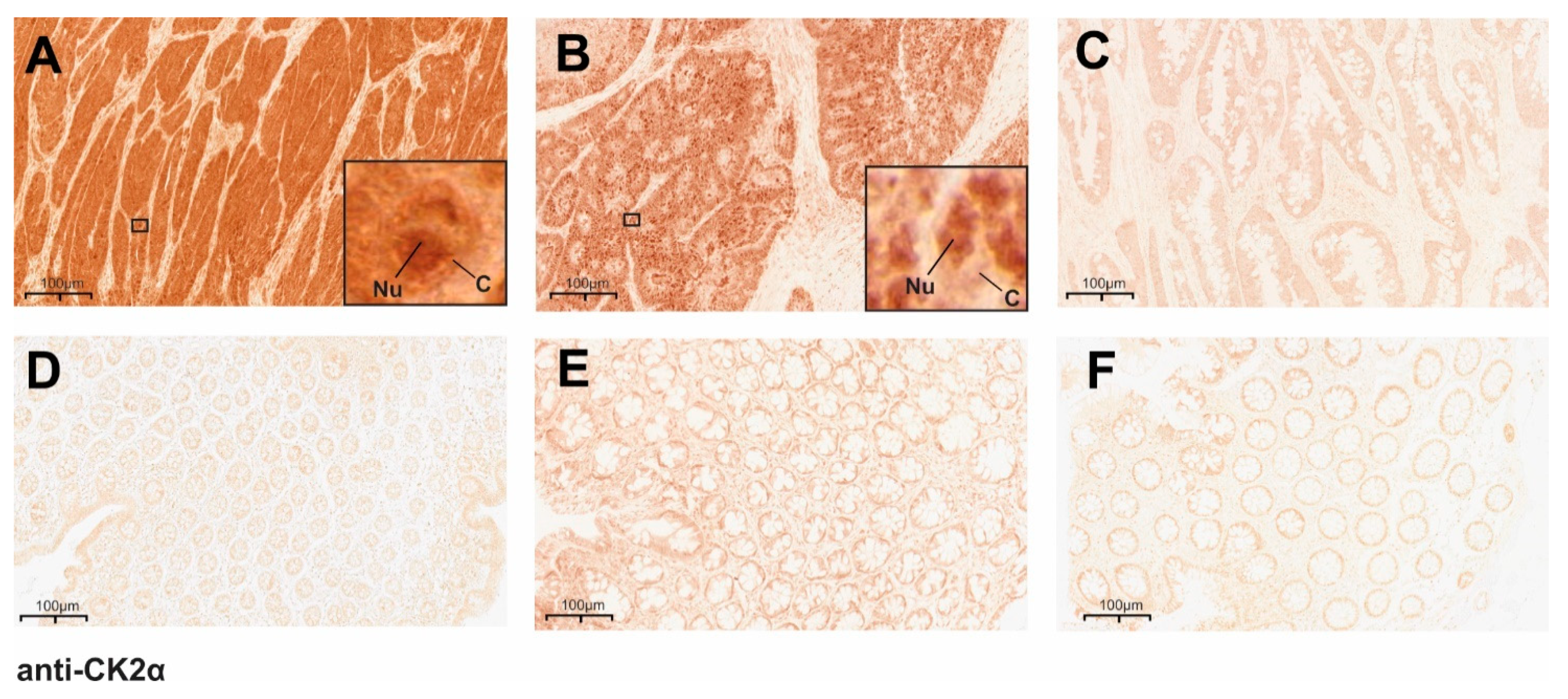 Cancers 14 01553 g001 550