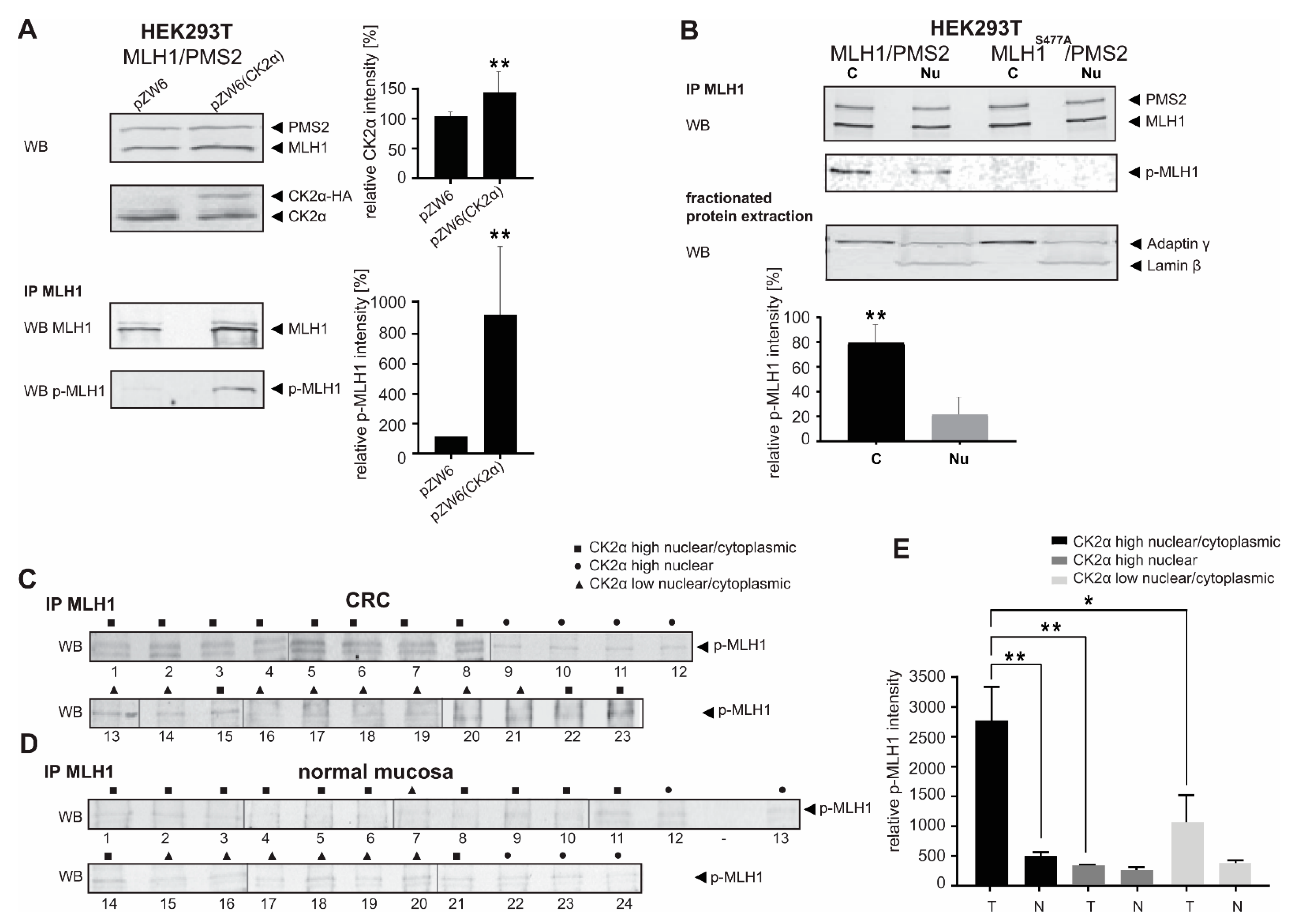 Cancers 14 01553 g004 550