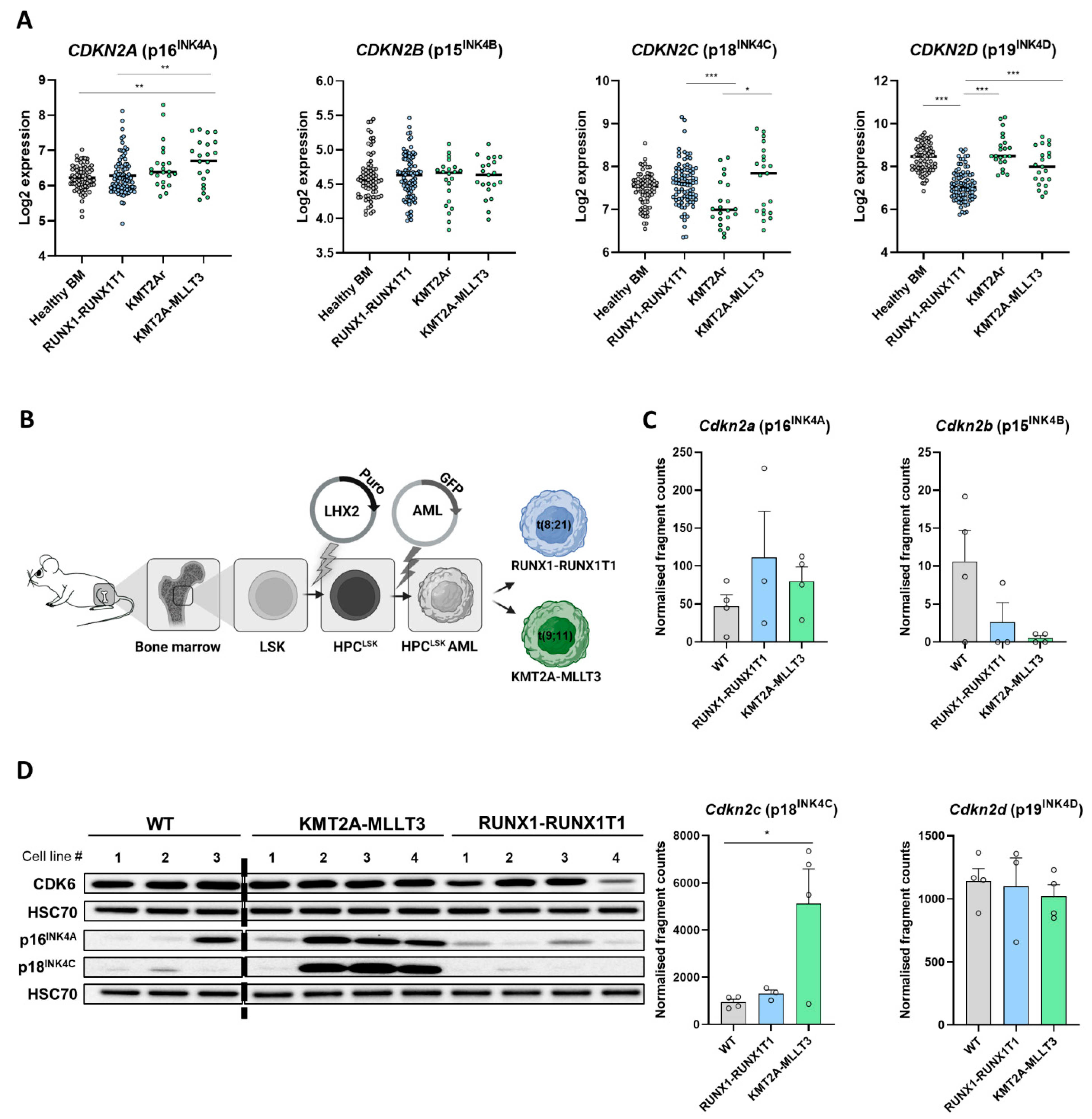 Cancers 14 01554 g001 550