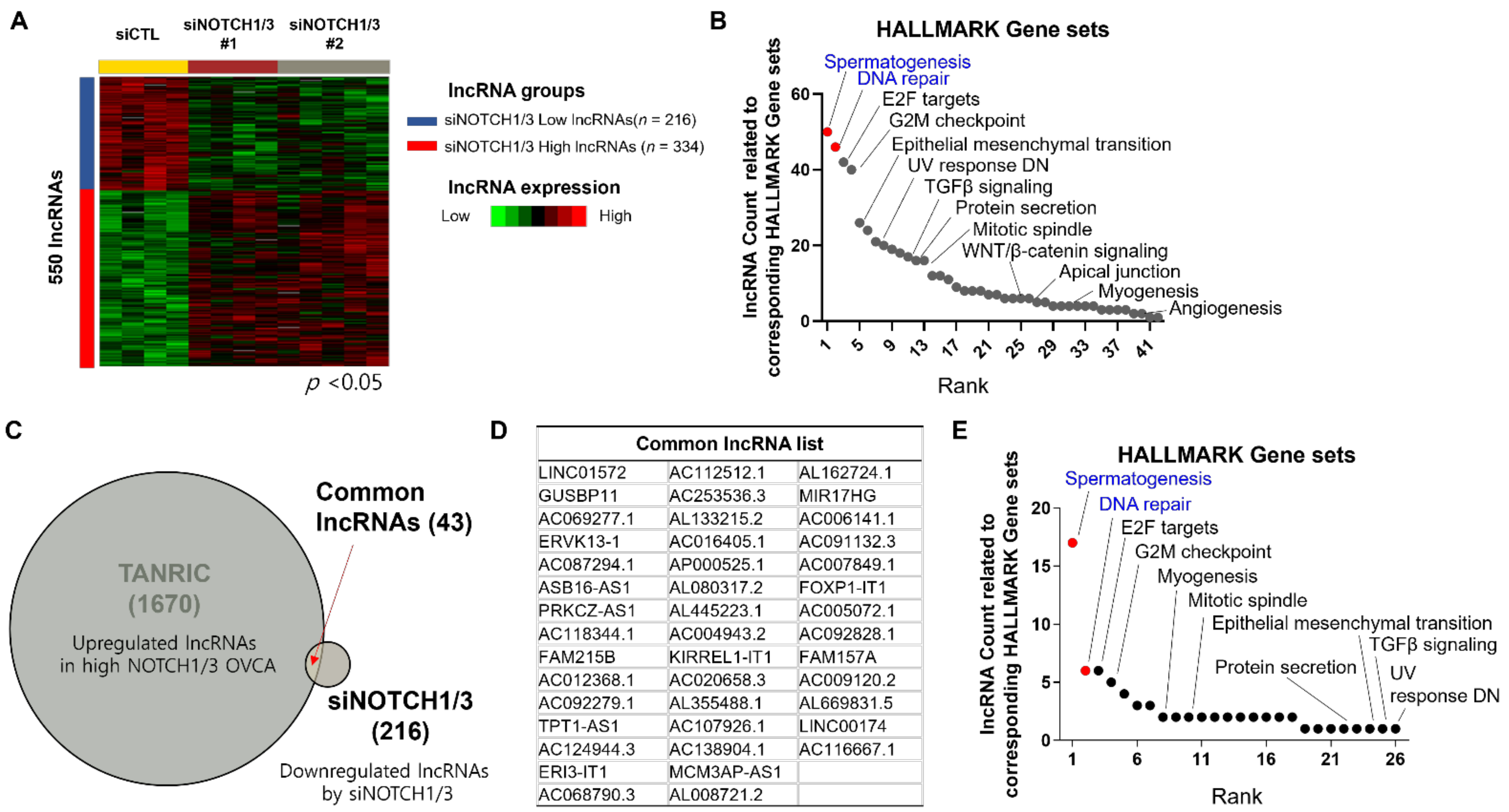 Cancers 14 01557 g002