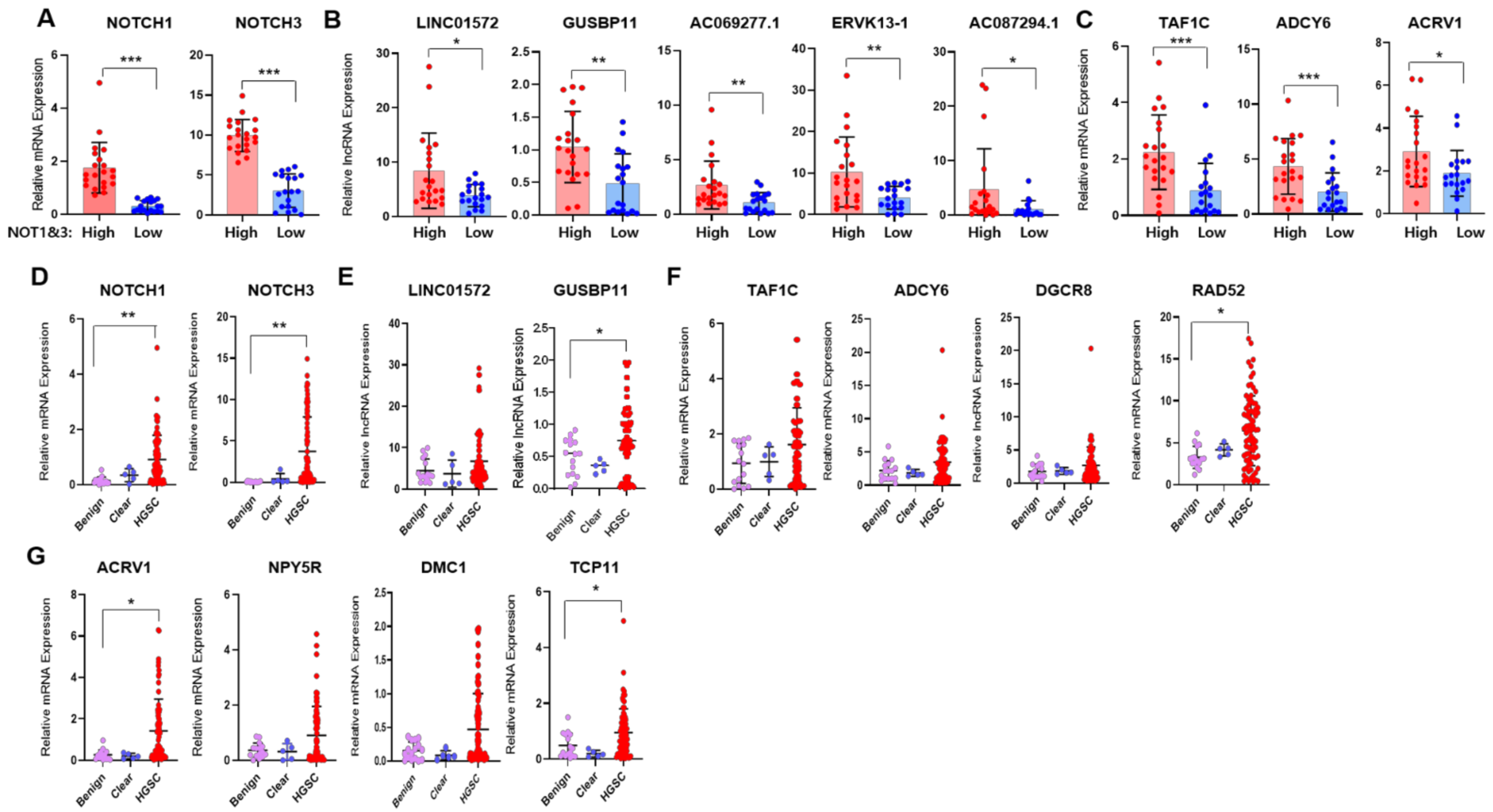 Cancers 14 01557 g004