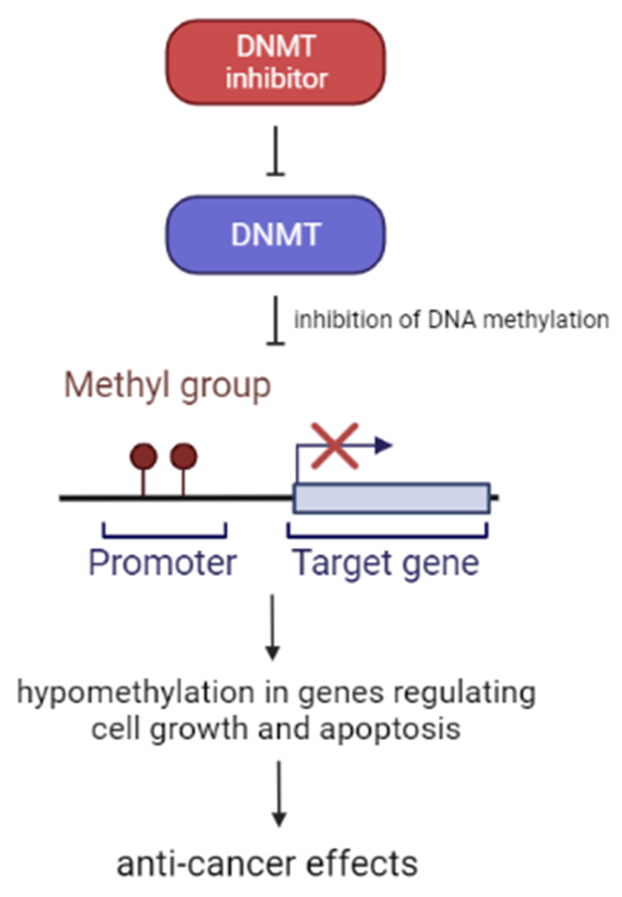 Cancers 14 01569 g002