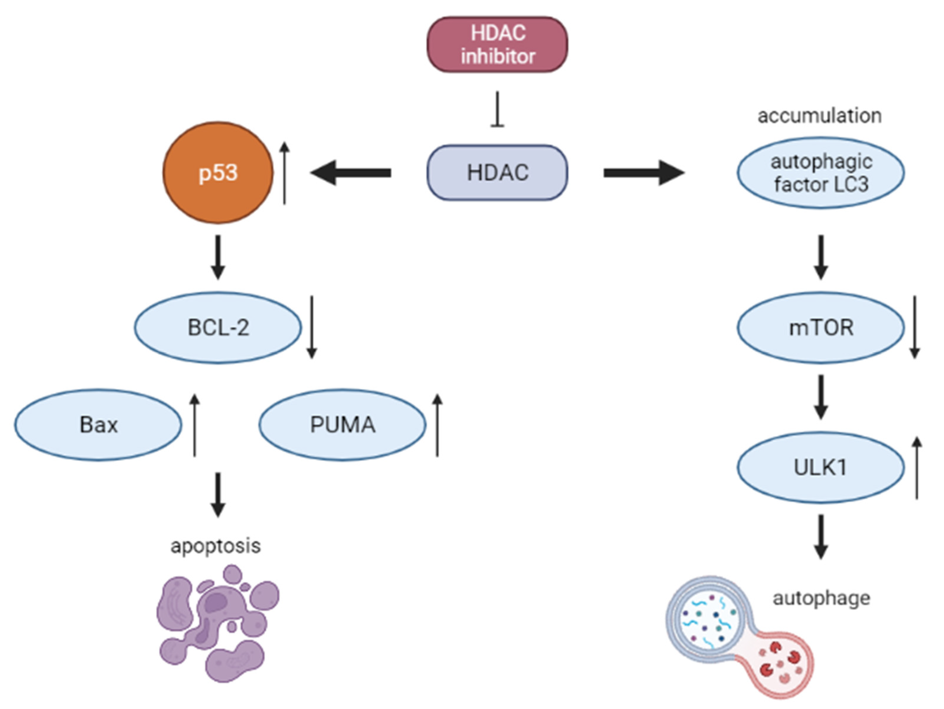 Cancers 14 01569 g003