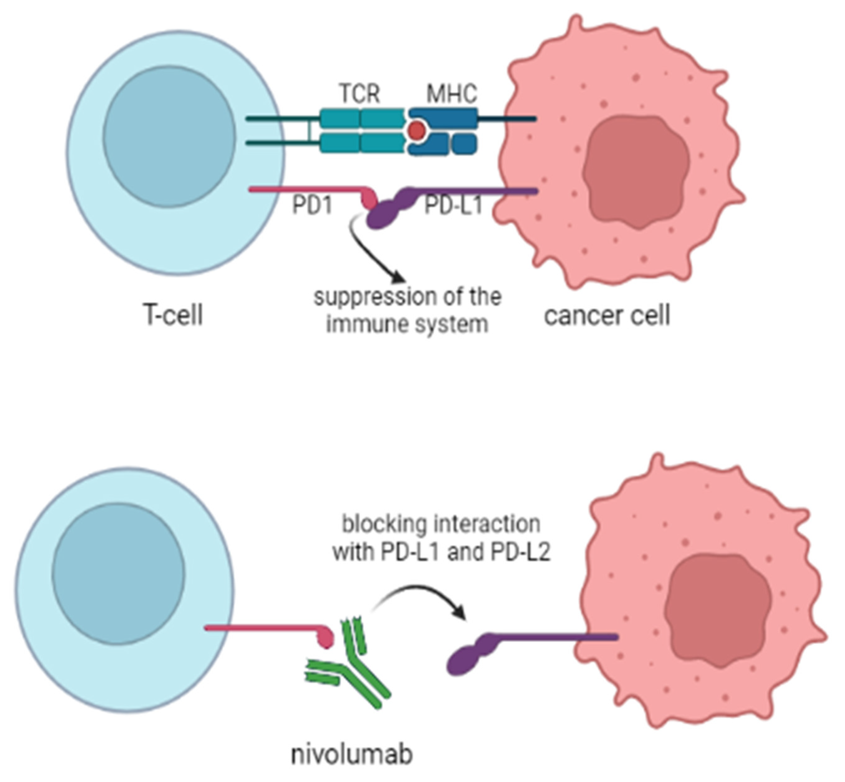 Cancers 14 01569 g004