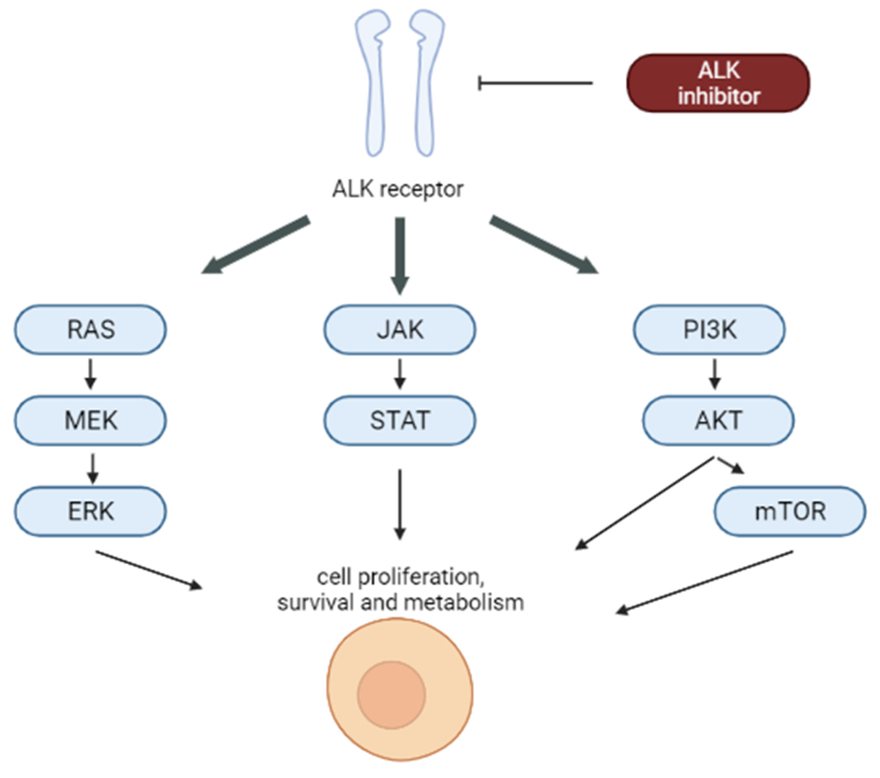Cancers 14 01569 g005