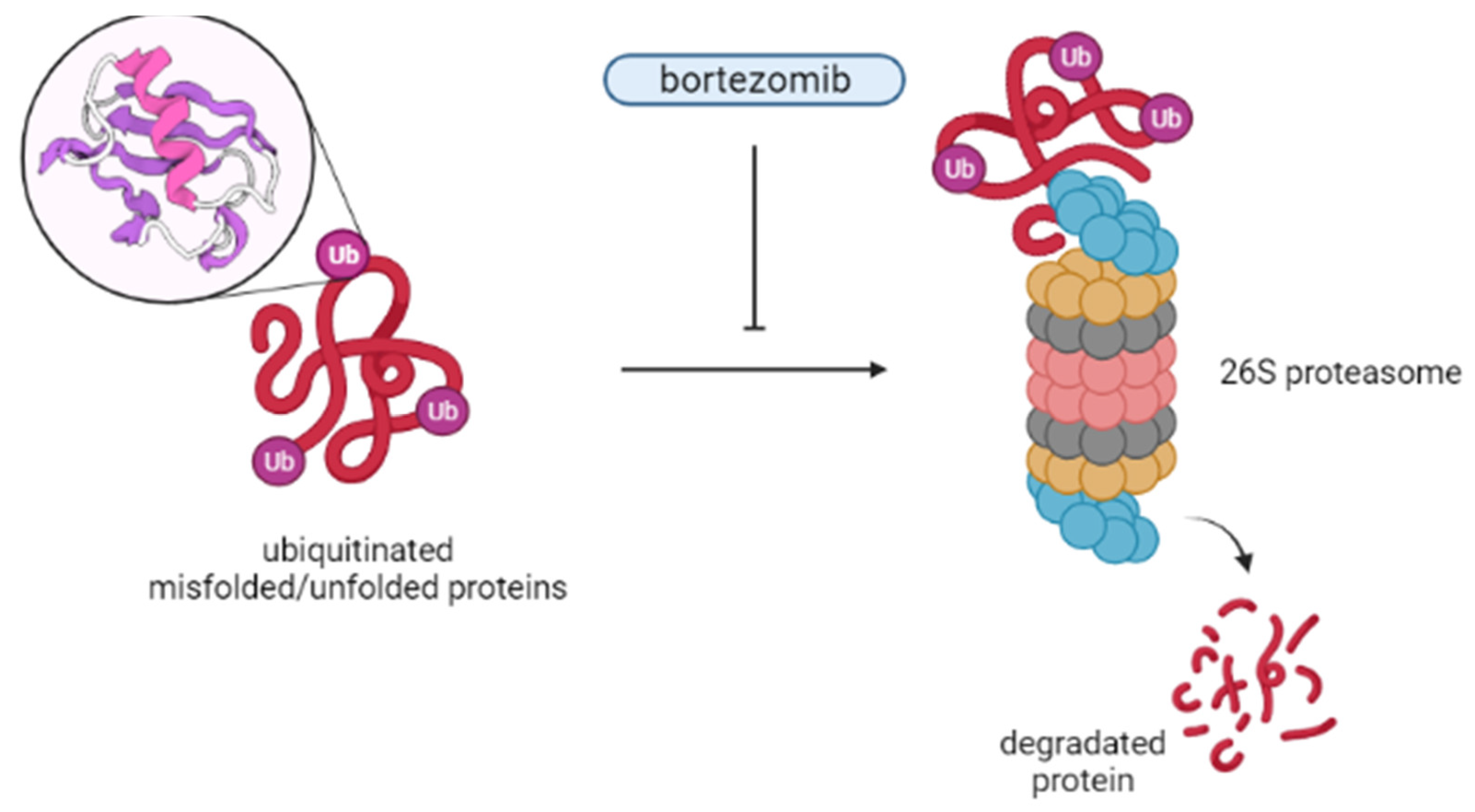 Cancers 14 01569 g006
