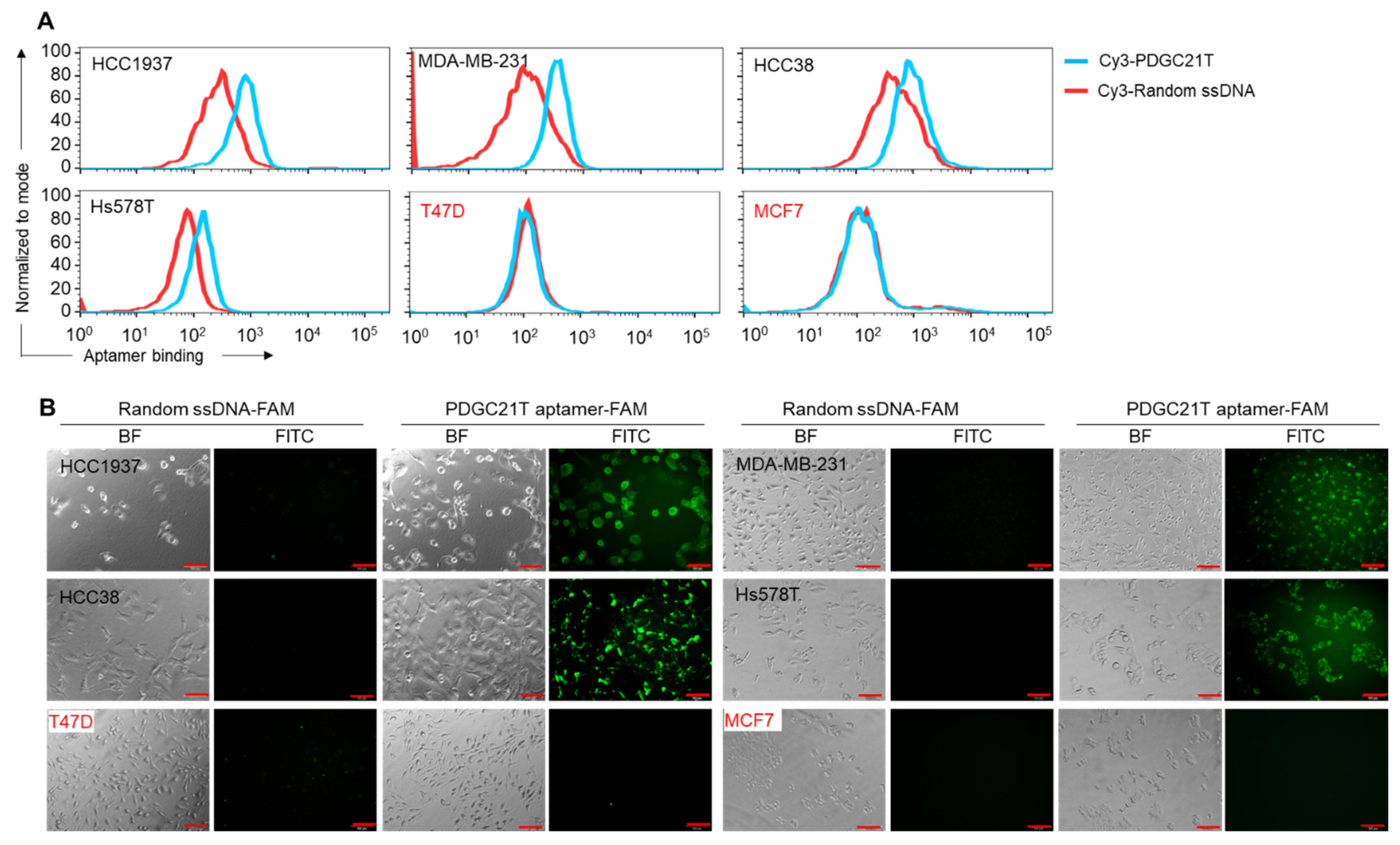 Cancers 14 01570 g001