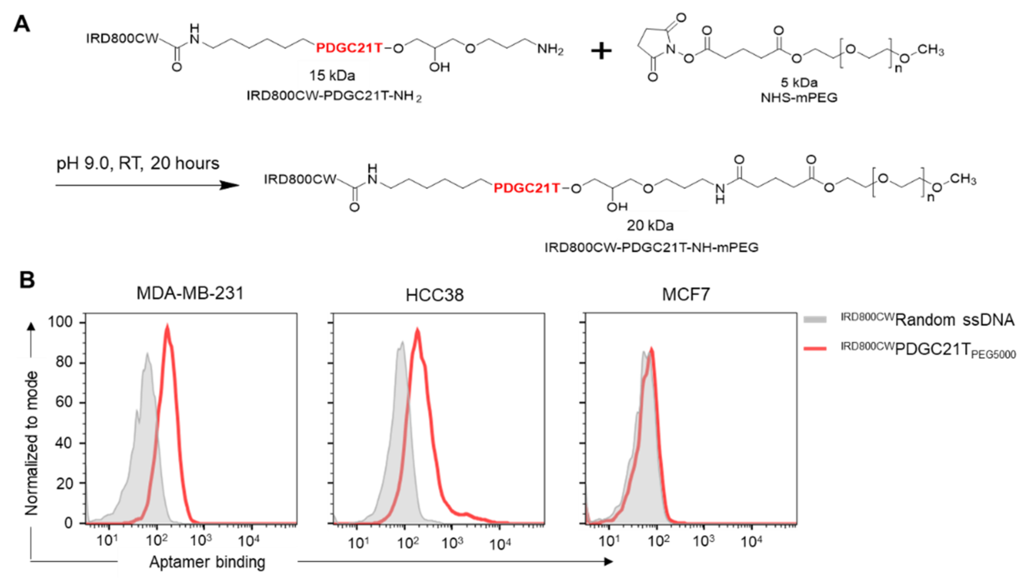Cancers 14 01570 g002