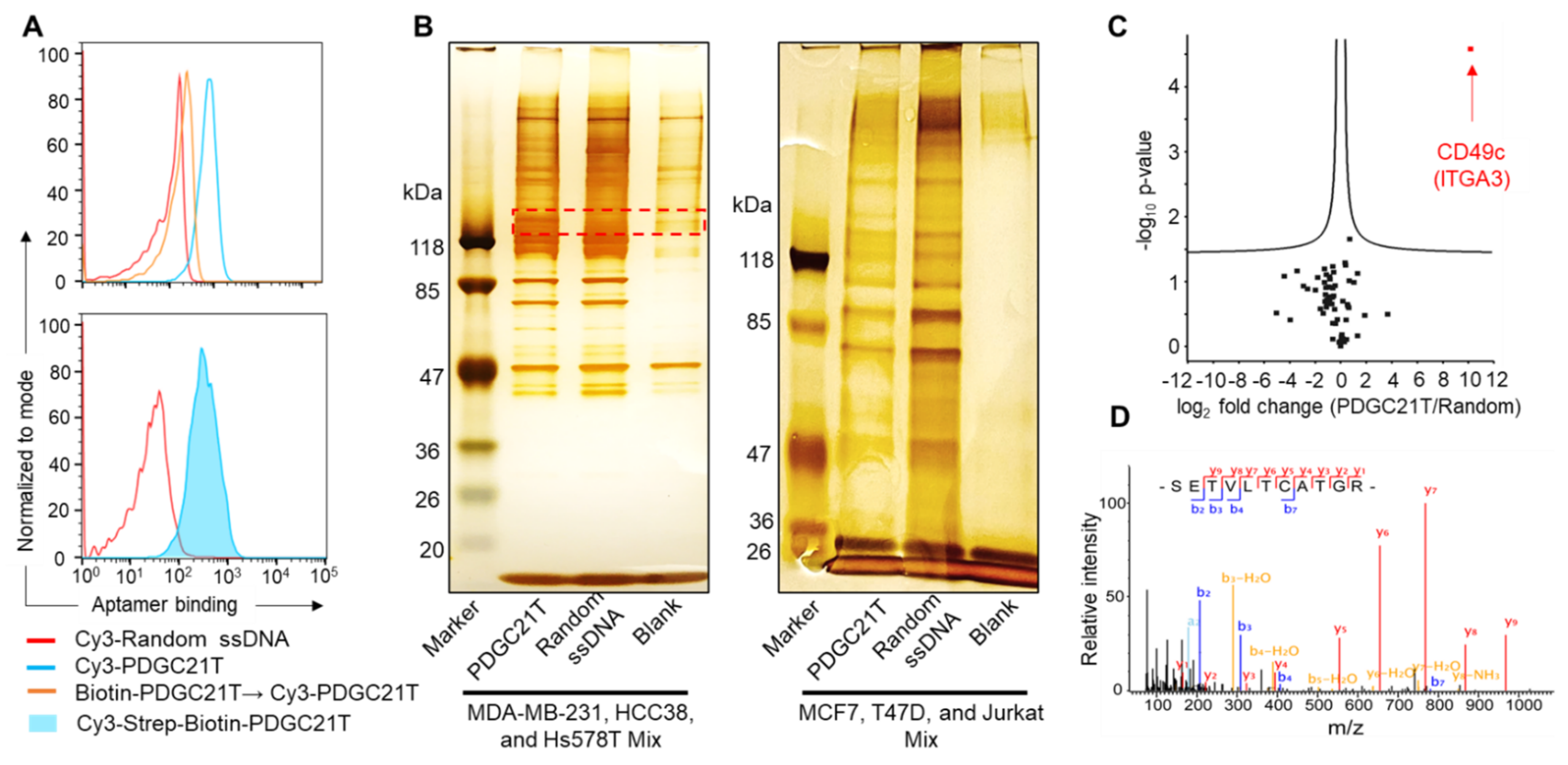 Cancers 14 01570 g004