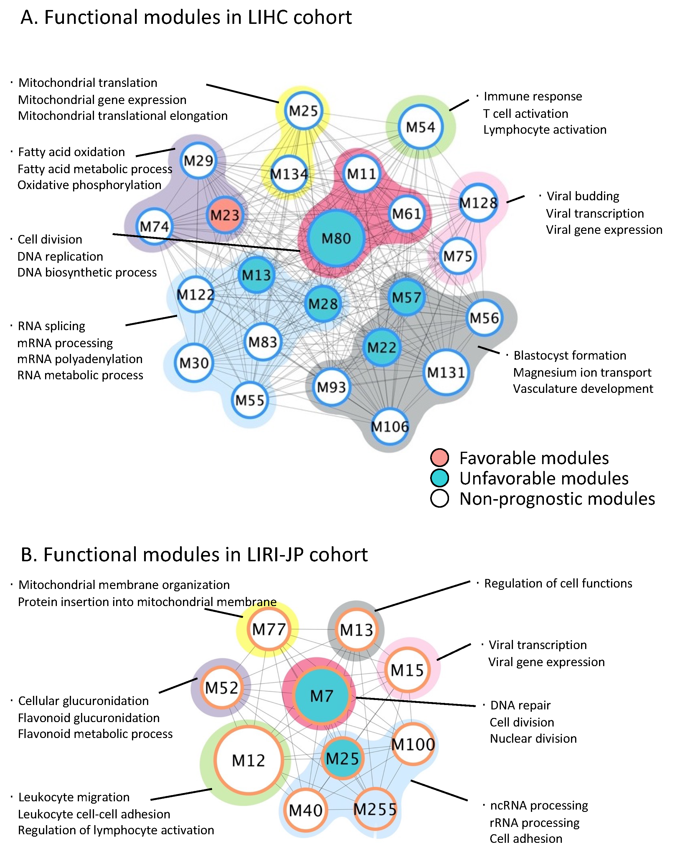 Cancers 14 01573 g003 550