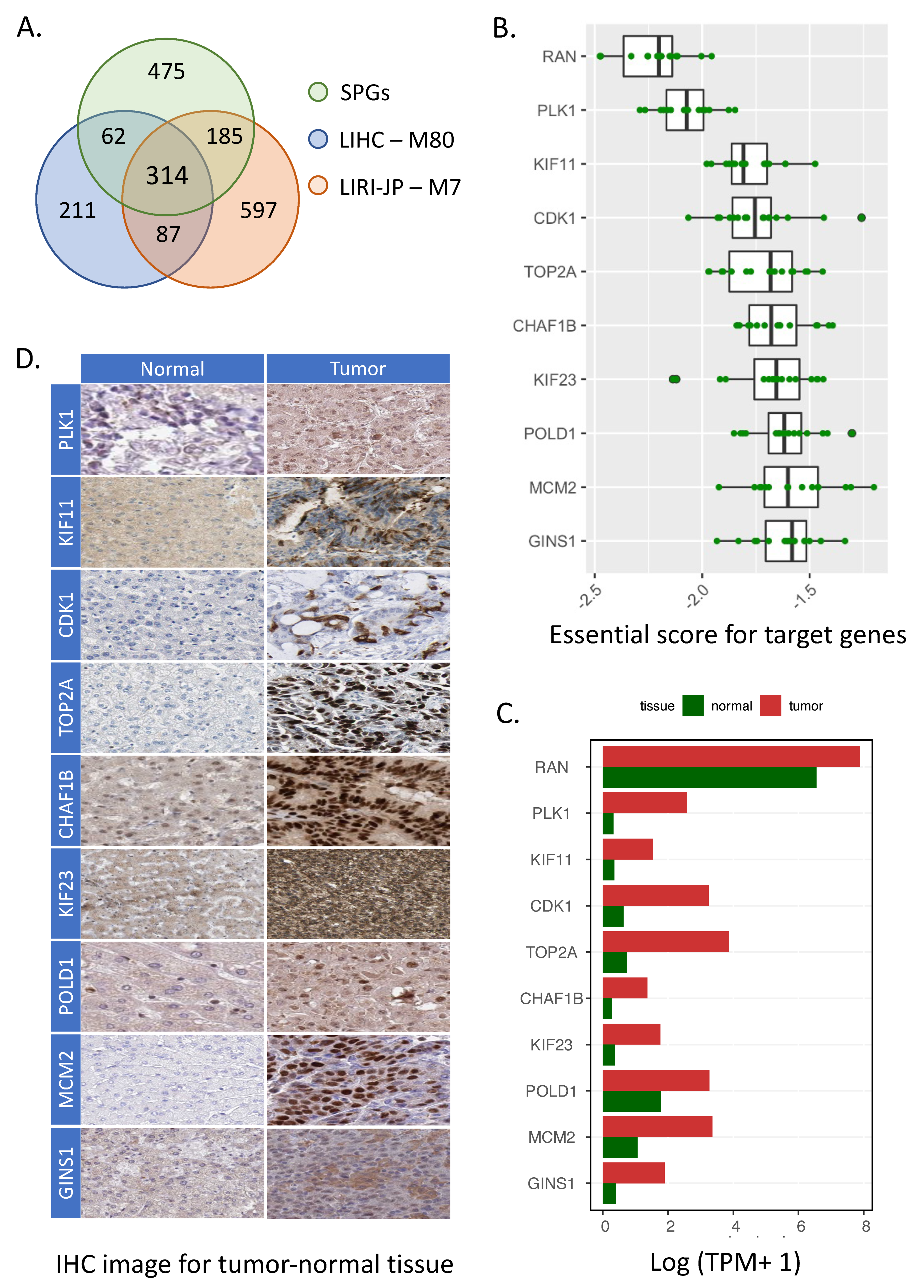 Cancers 14 01573 g004 550
