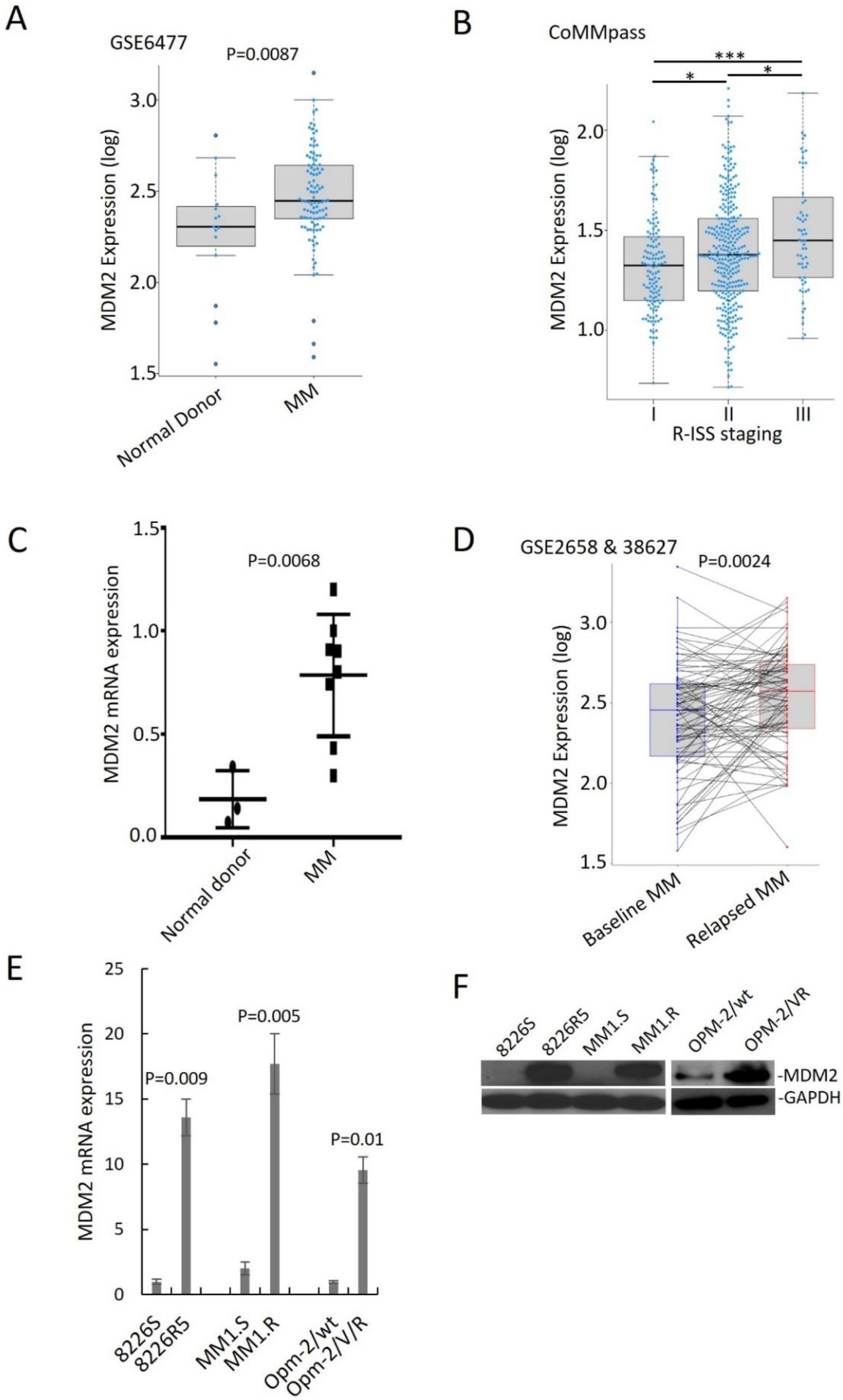 Cancers 14 01592 g001