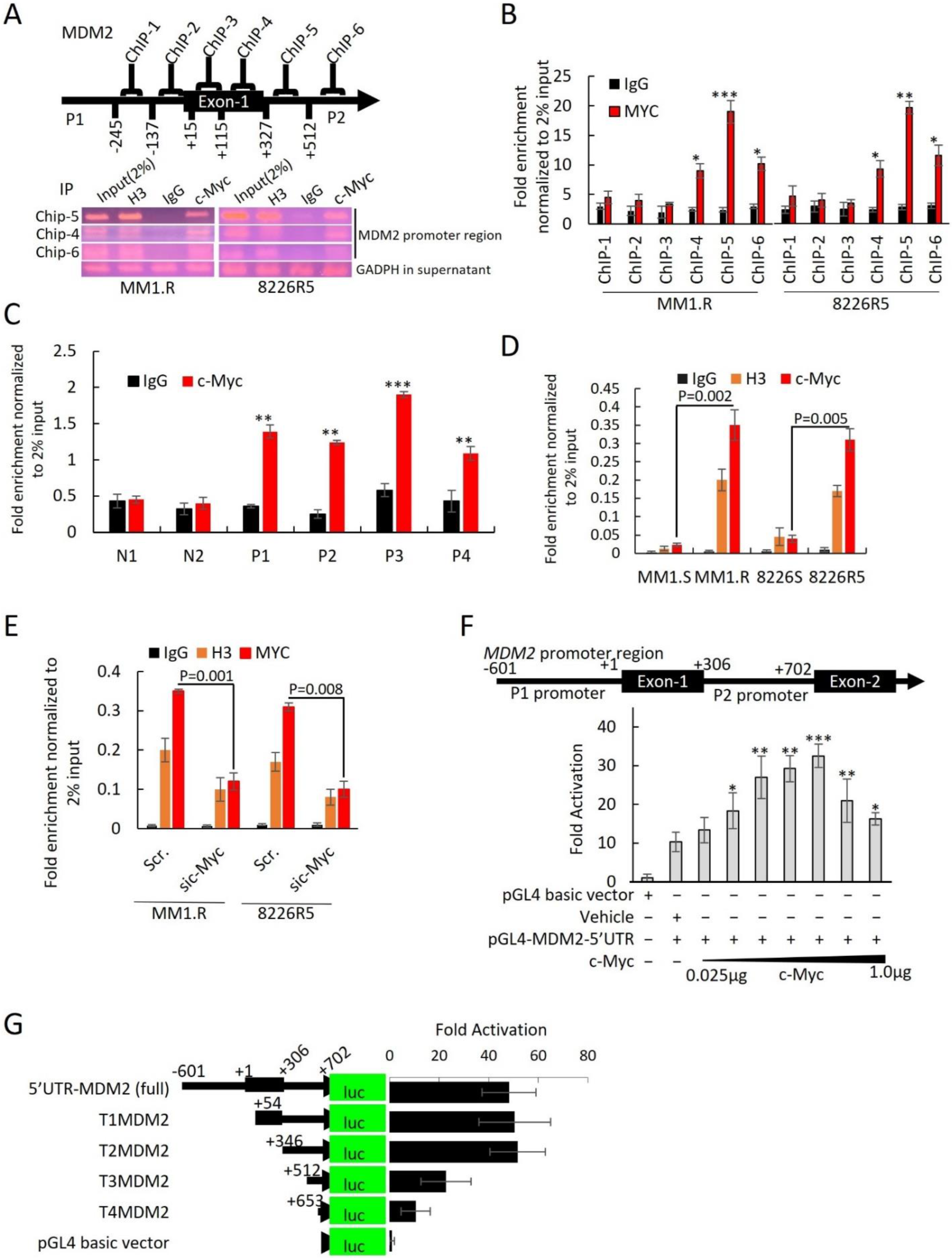 Cancers 14 01592 g006