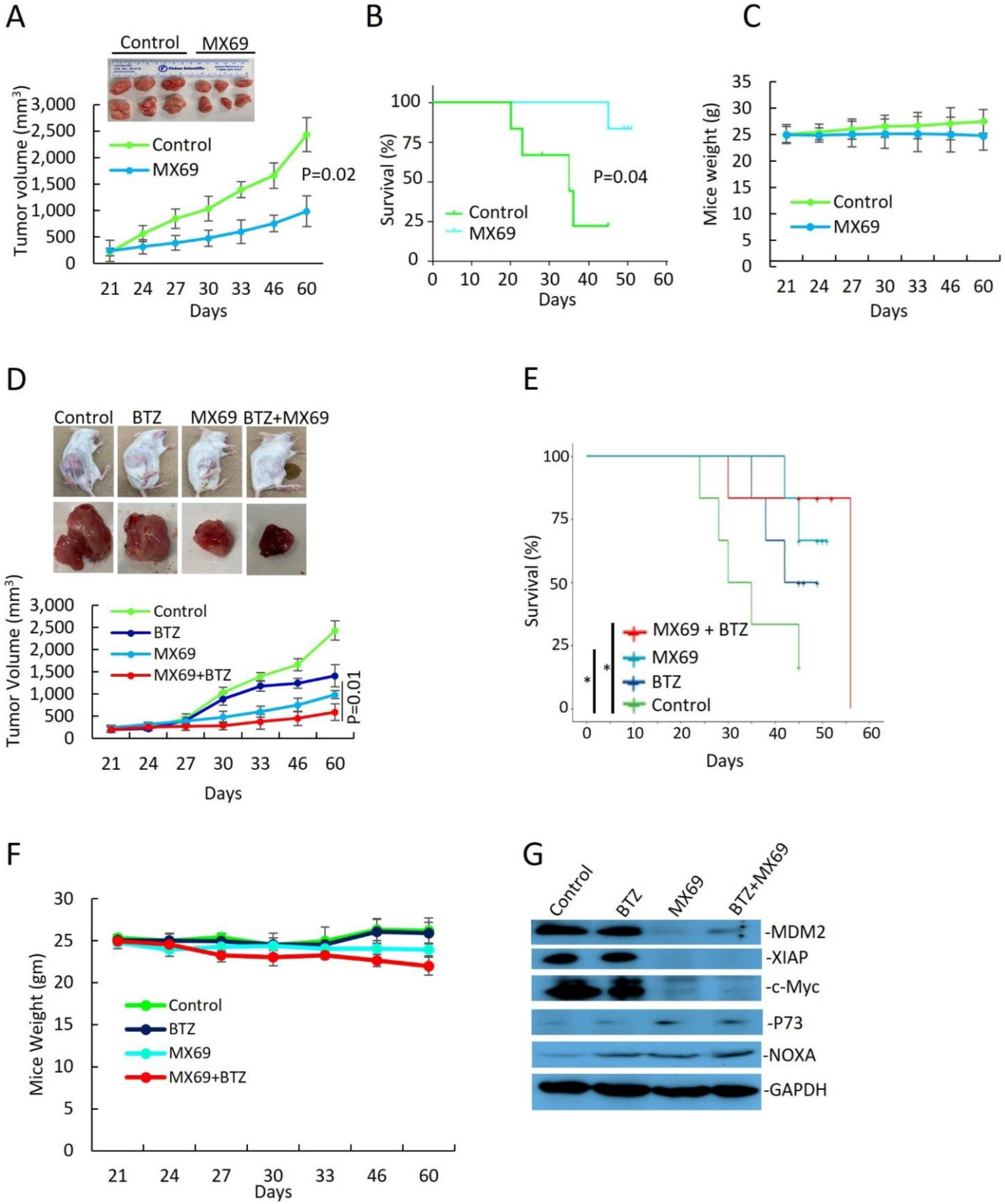 Cancers 14 01592 g007