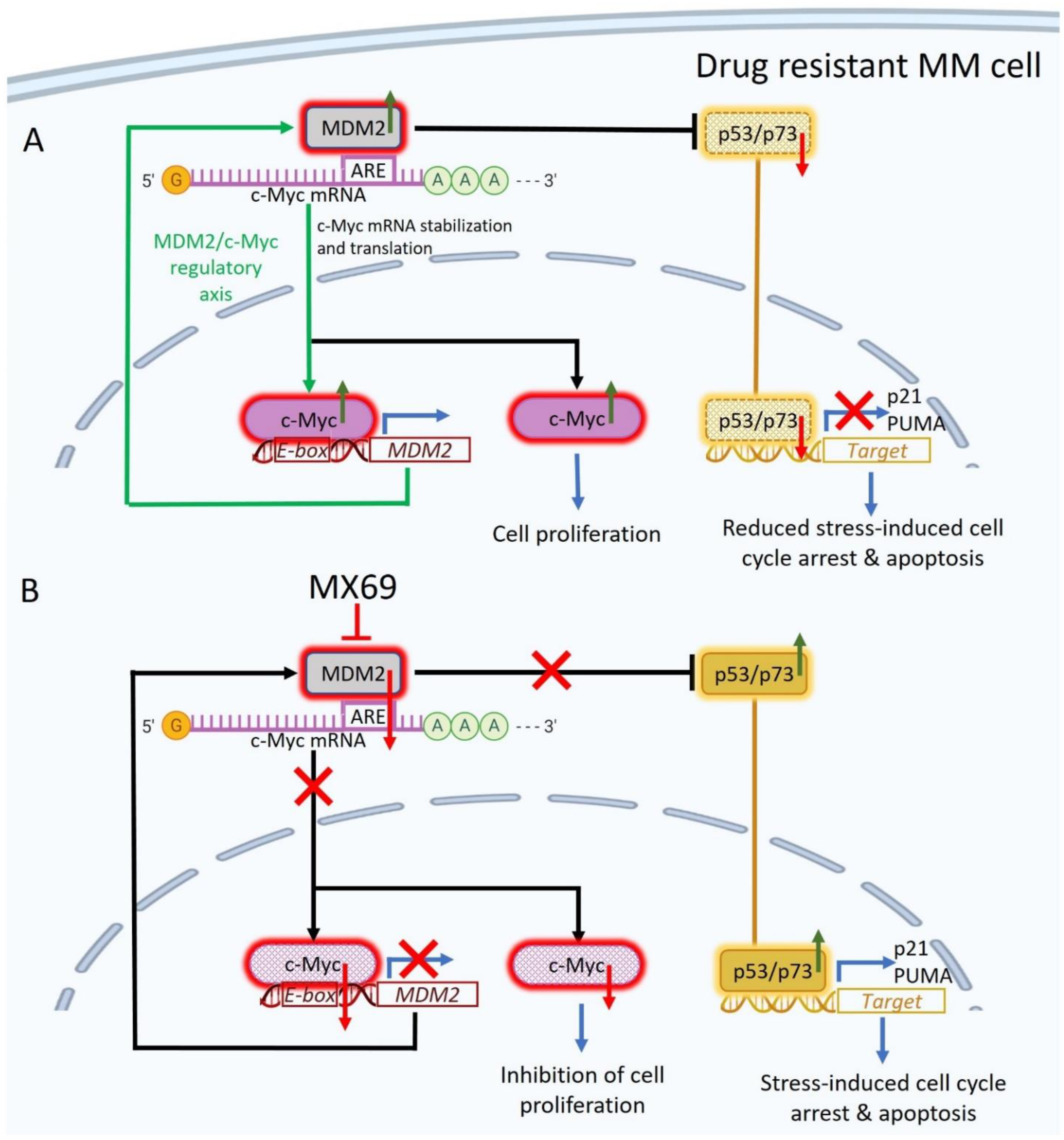 Cancers 14 01592 g008