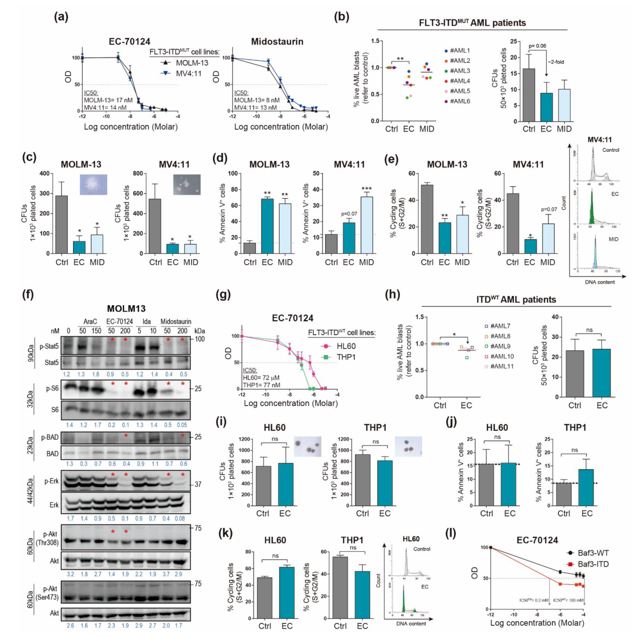 Cancers 14 01593 g001