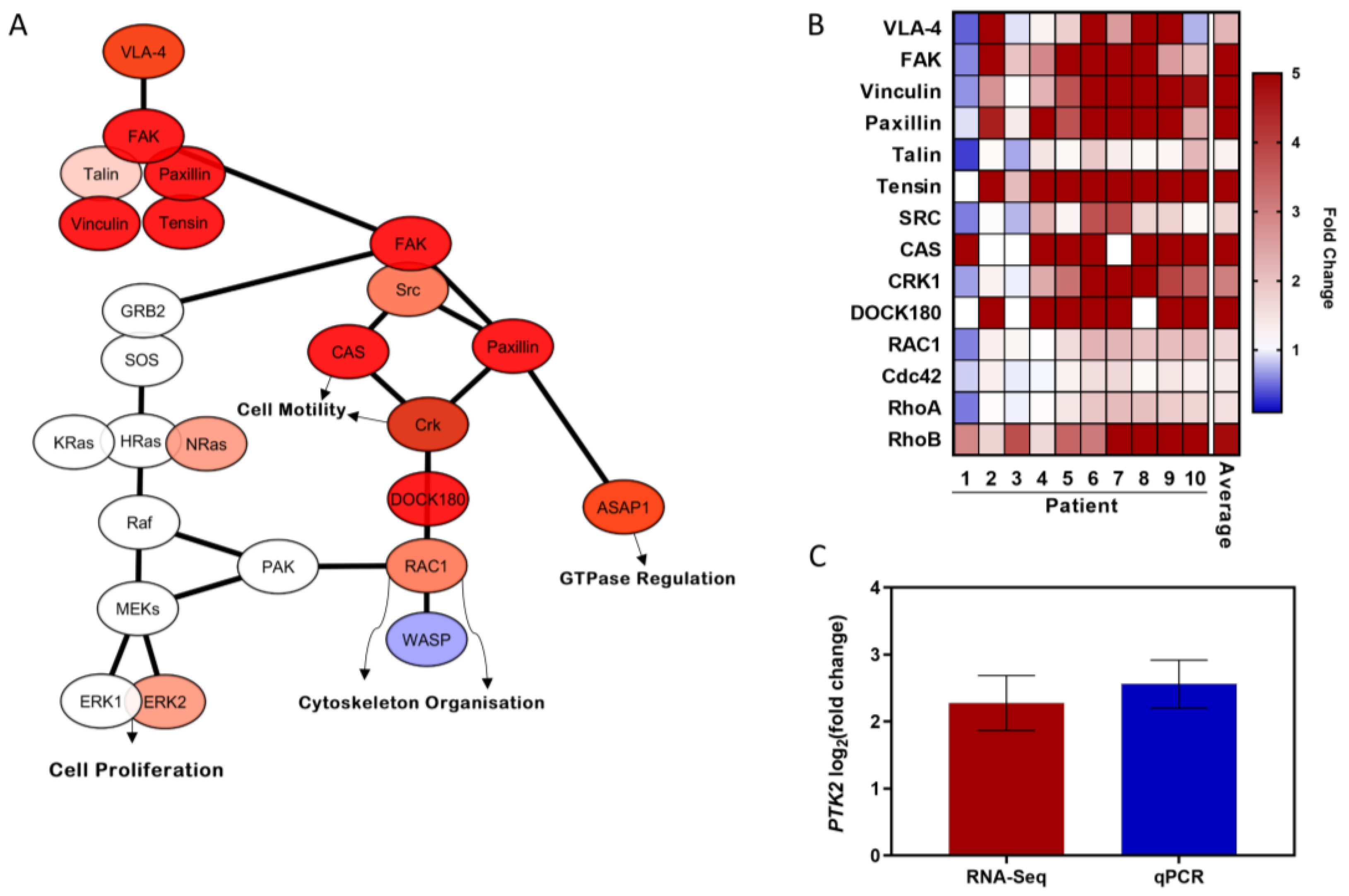 Cancers 14 01600 g002 Cancers 14 01600 g002