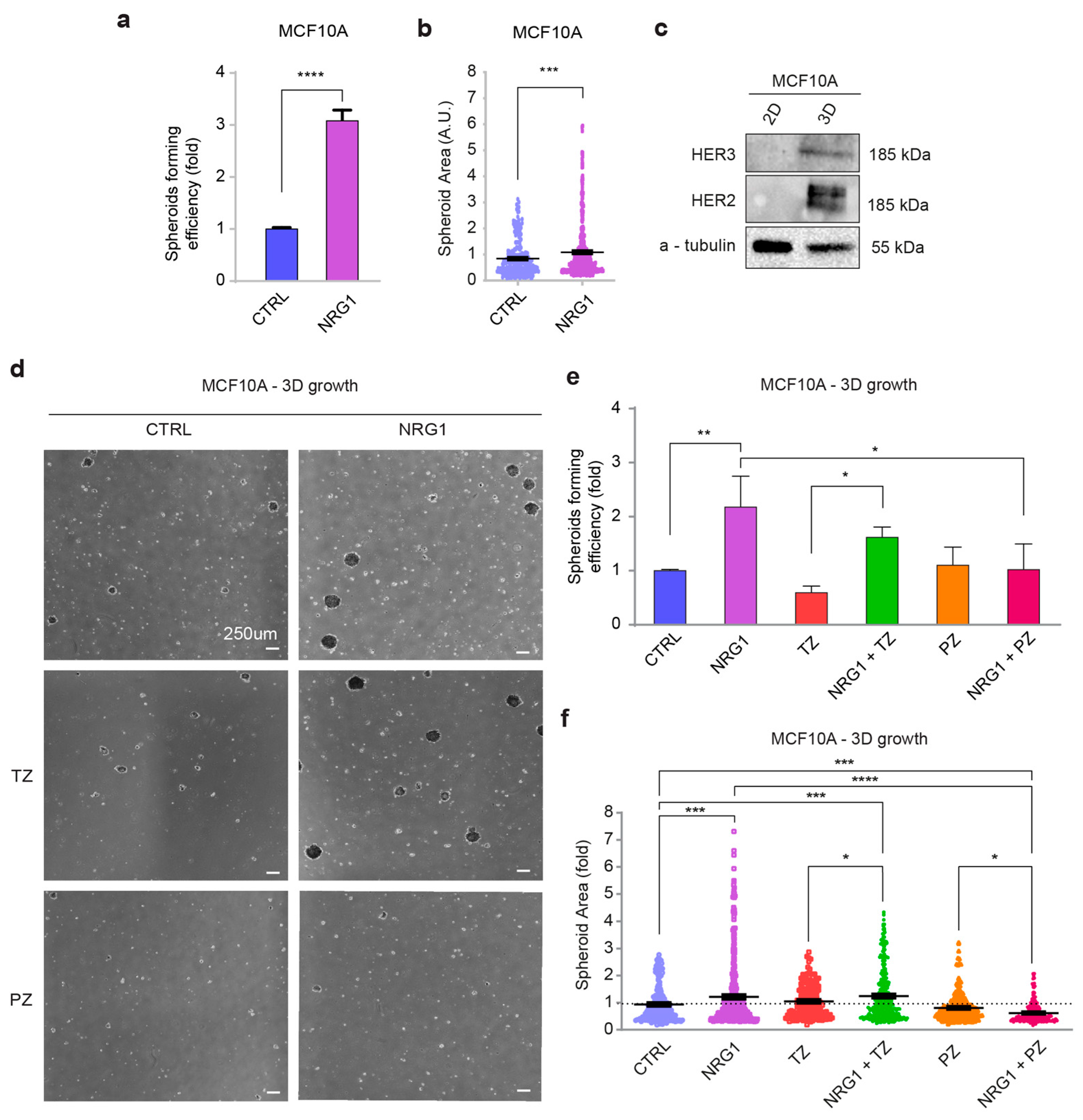 Cancers 14 01603 g005 550