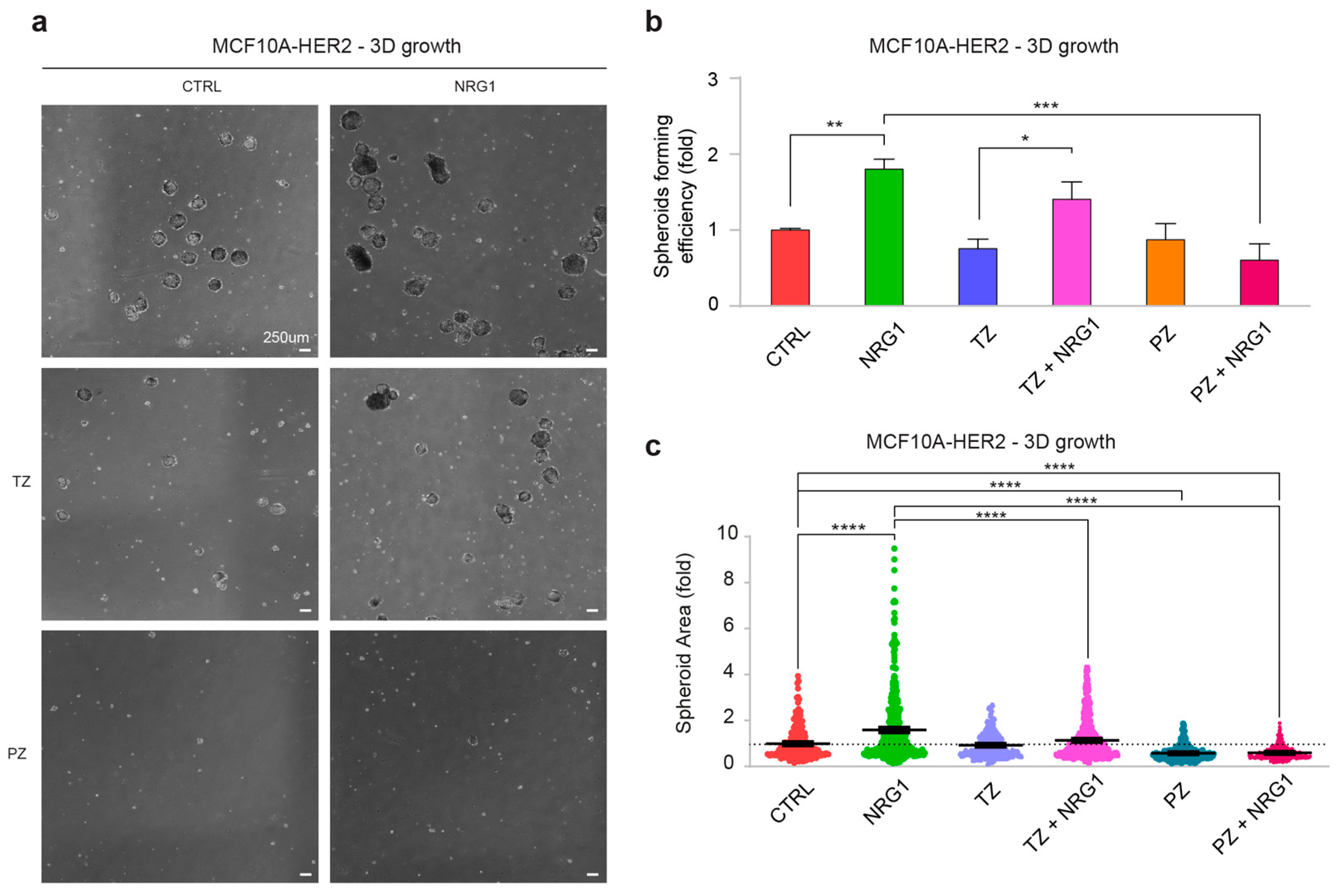 Cancers 14 01603 g007 550