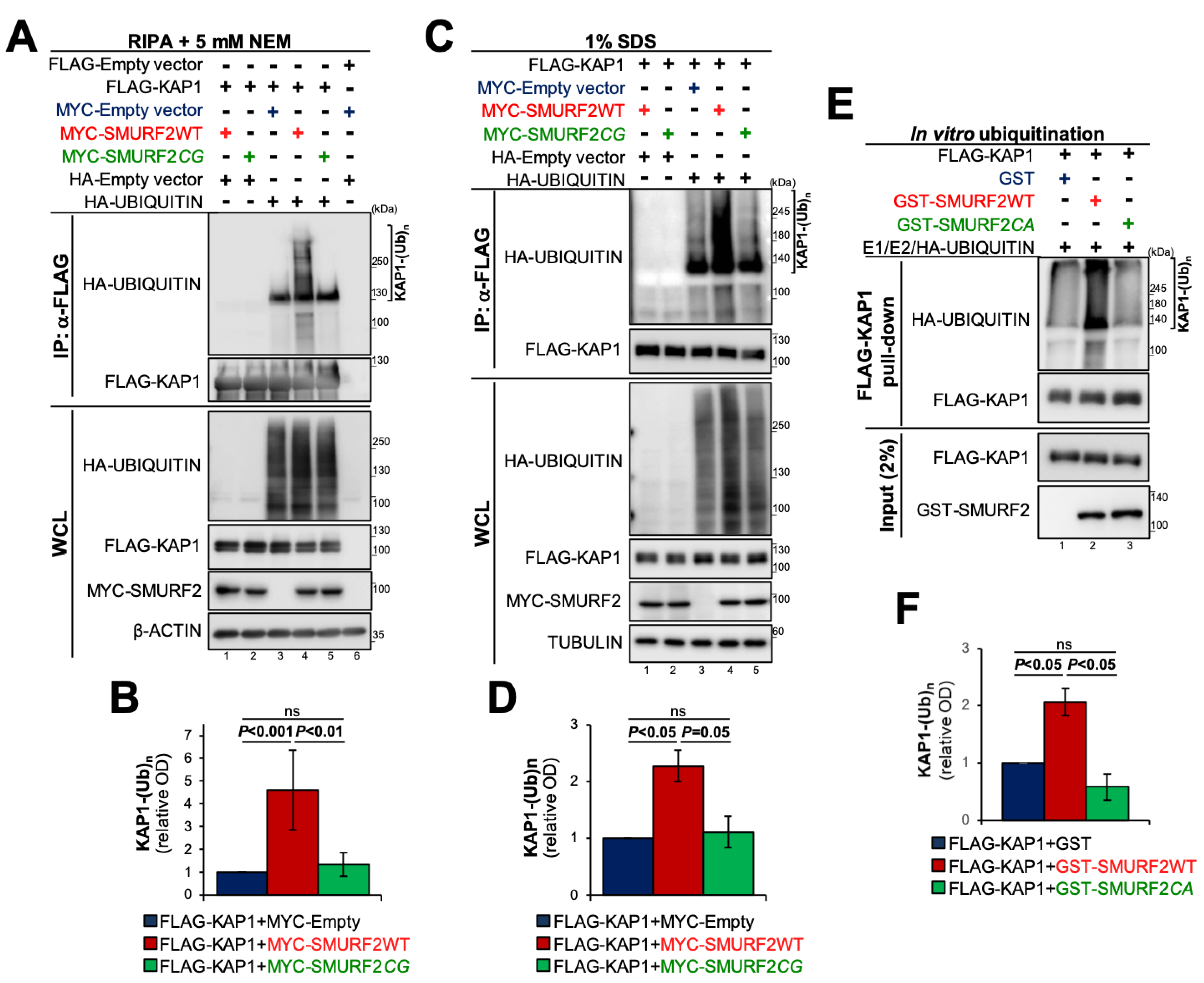 Cancers 14 01607 g002