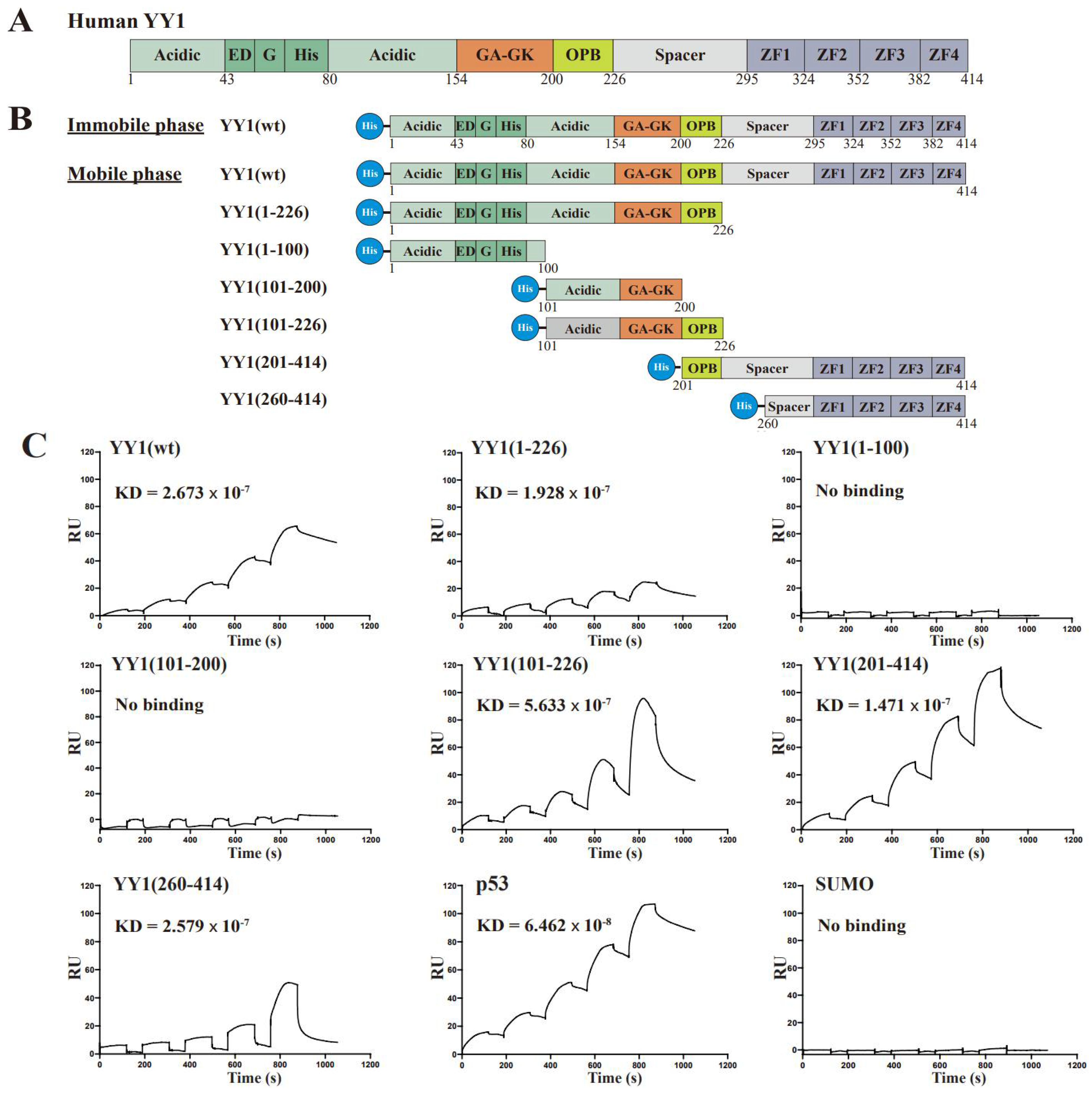 Cancers 14 01611 g001a
