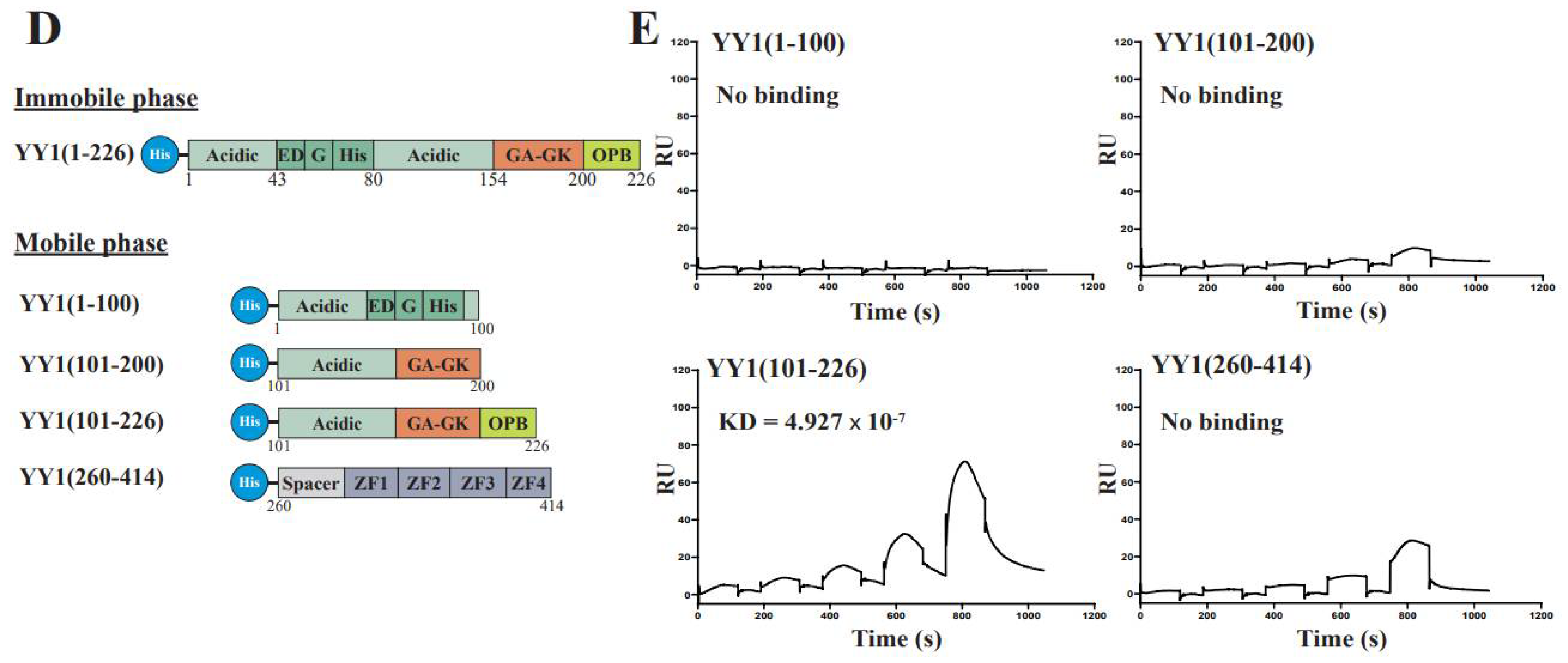 Cancers 14 01611 g001b