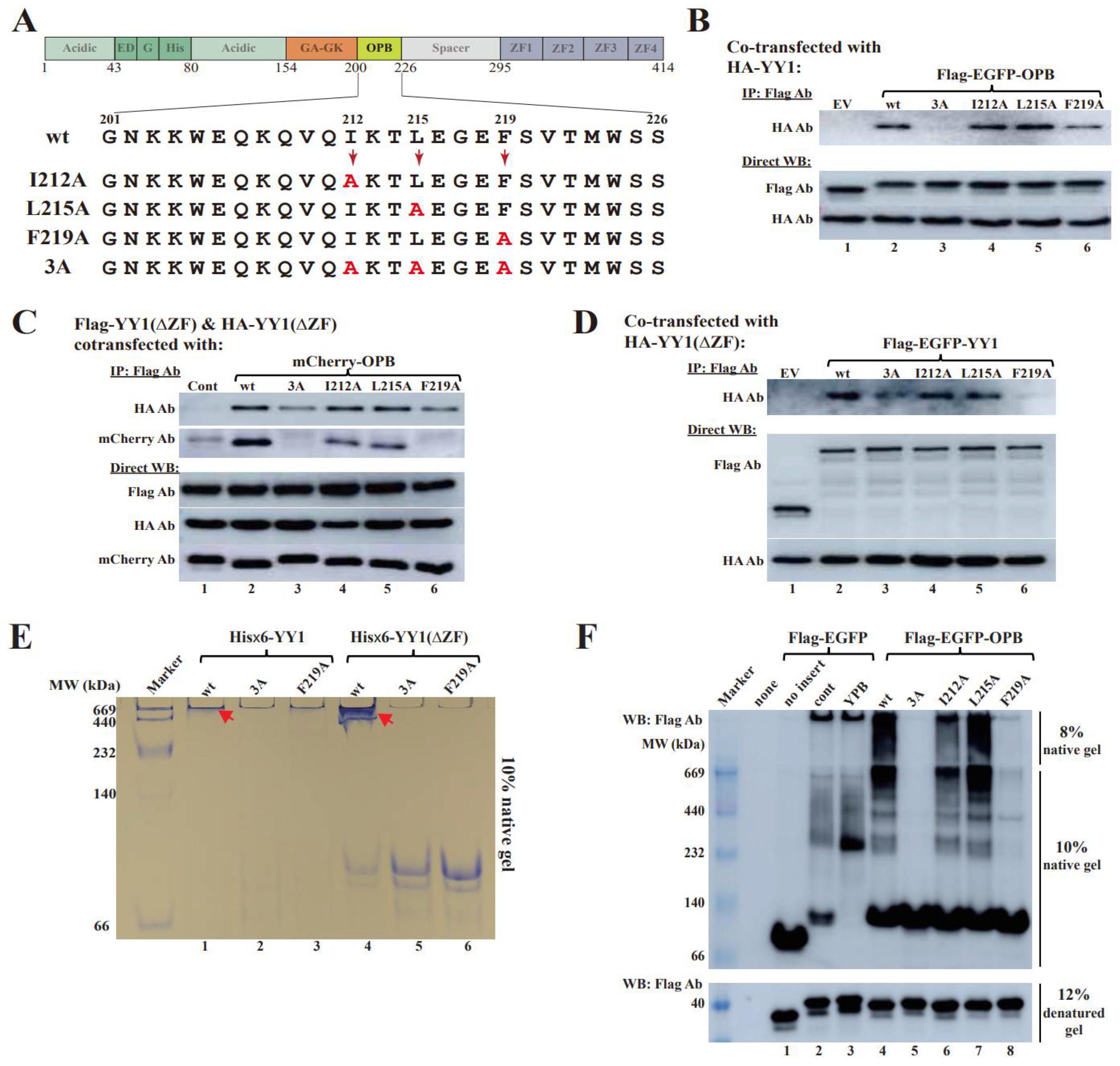 Cancers 14 01611 g003a