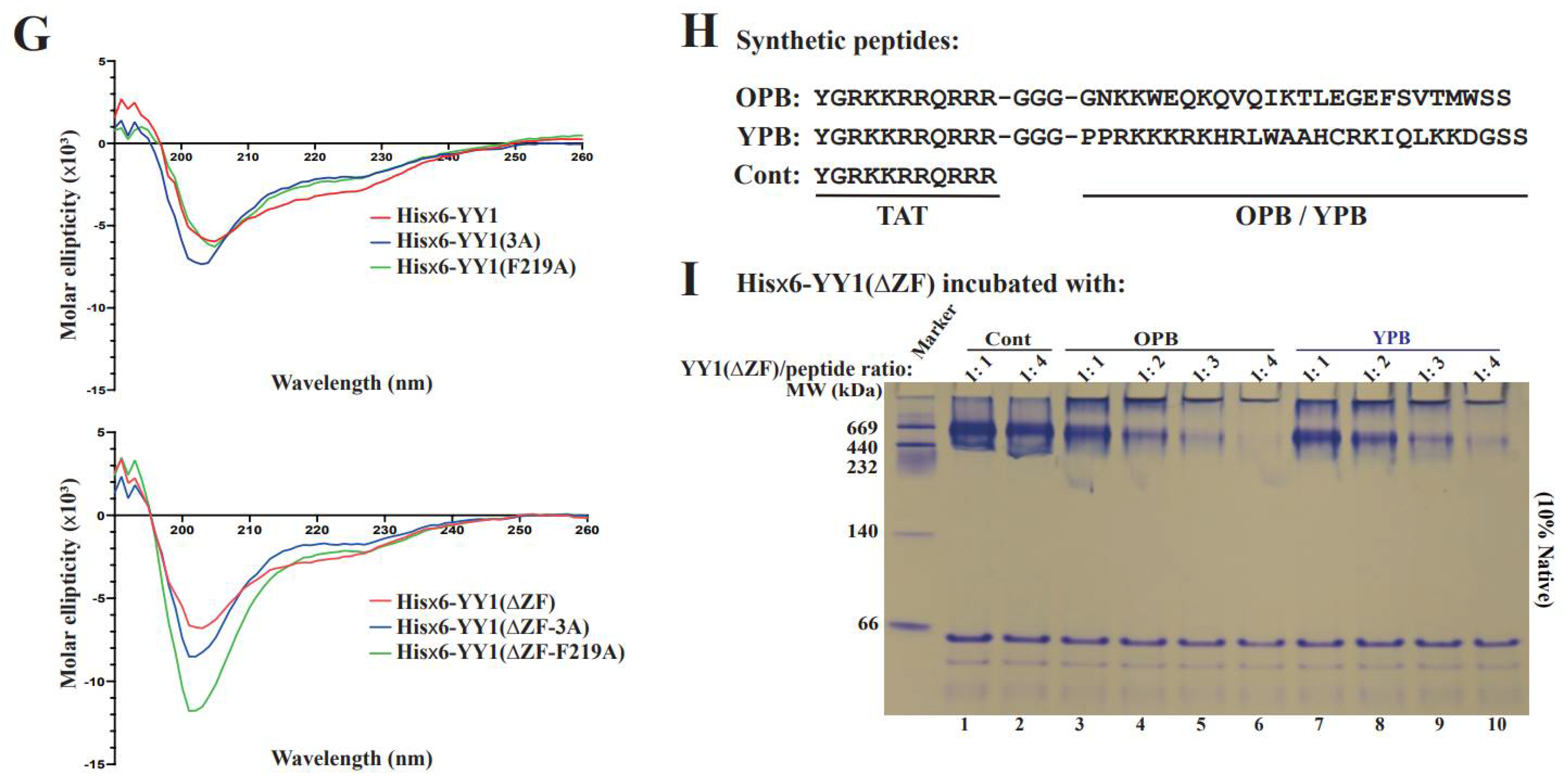 Cancers 14 01611 g003b