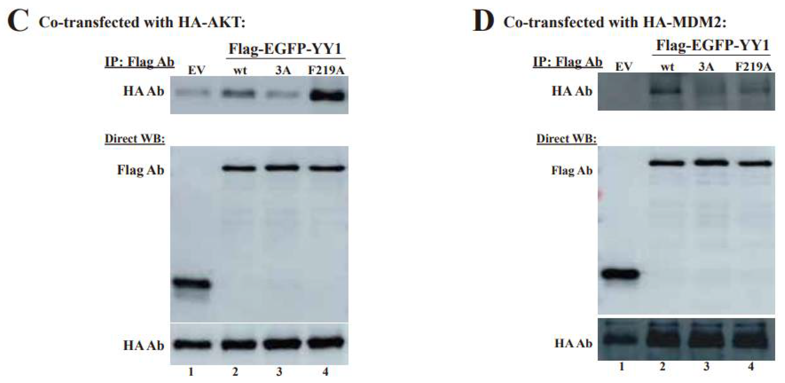 Cancers 14 01611 g005b
