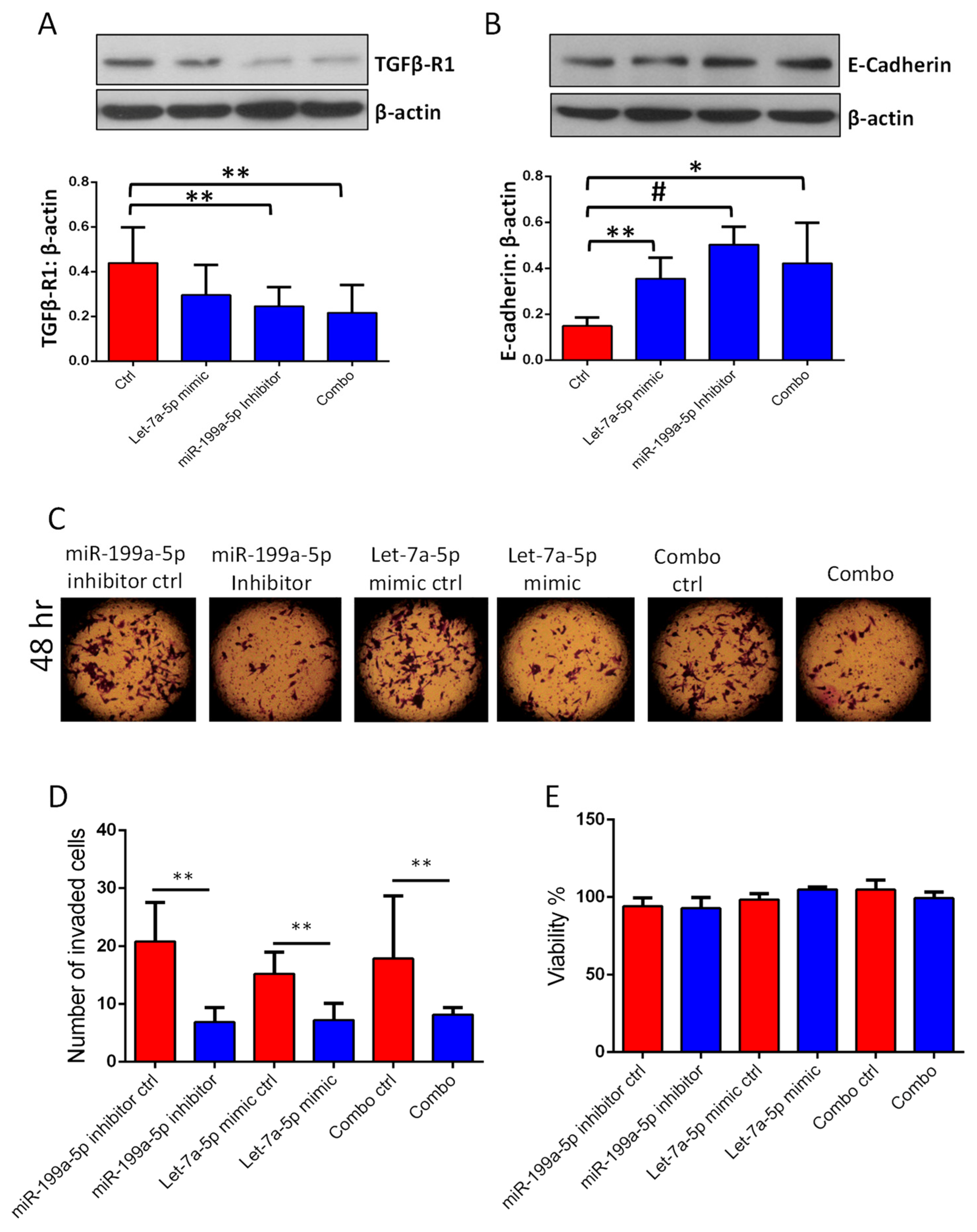 Cancers 14 01625 g010 Cancers 14 01625 g010