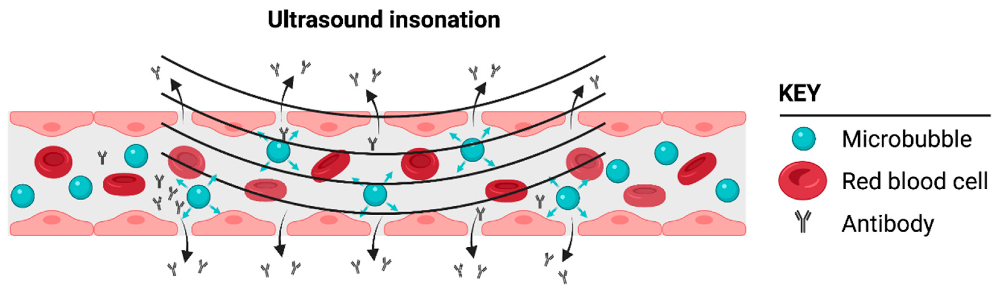Cancers 14 01627 g003 Cancers 14 01627 g003