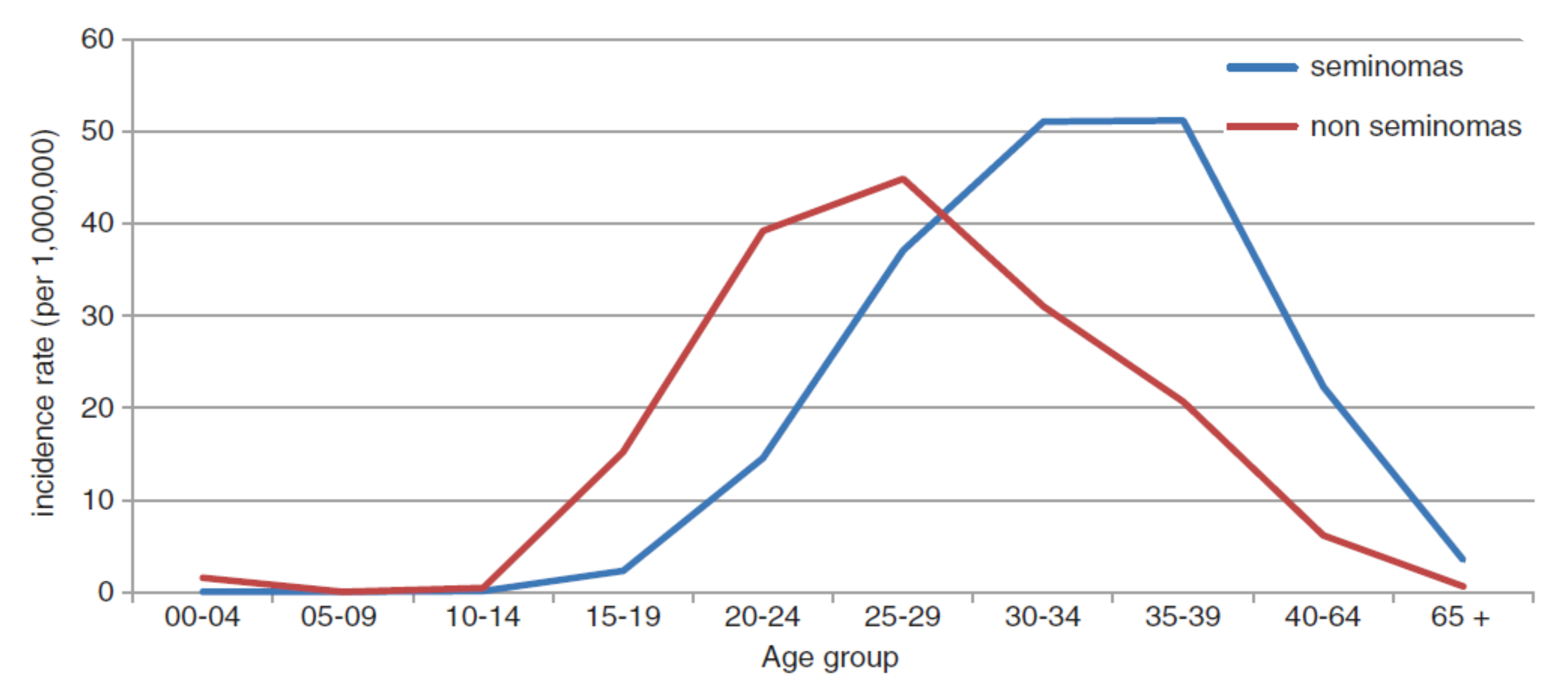 Cancers 14 01633 g001