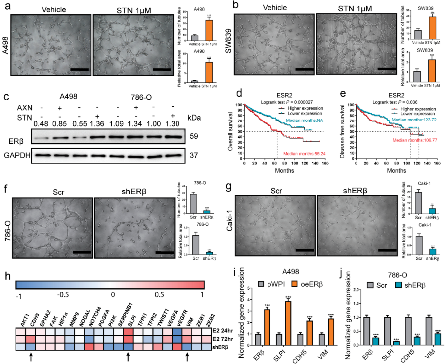 Cancers 14 01639 g001a