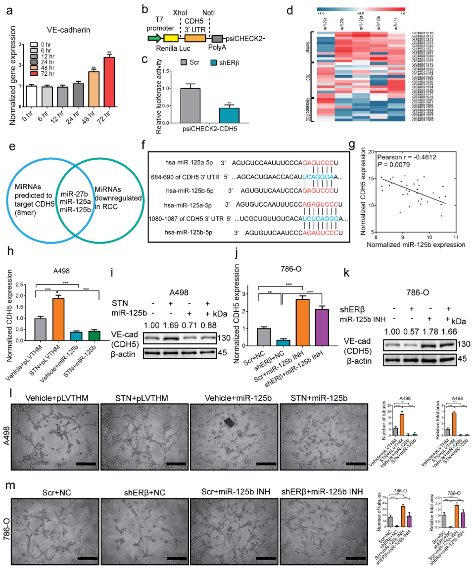 Cancers 14 01639 g002