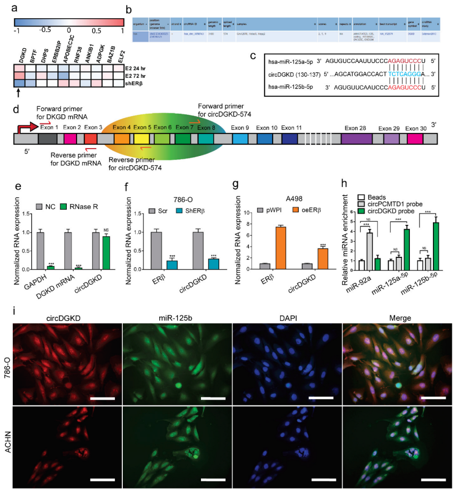 Cancers 14 01639 g003