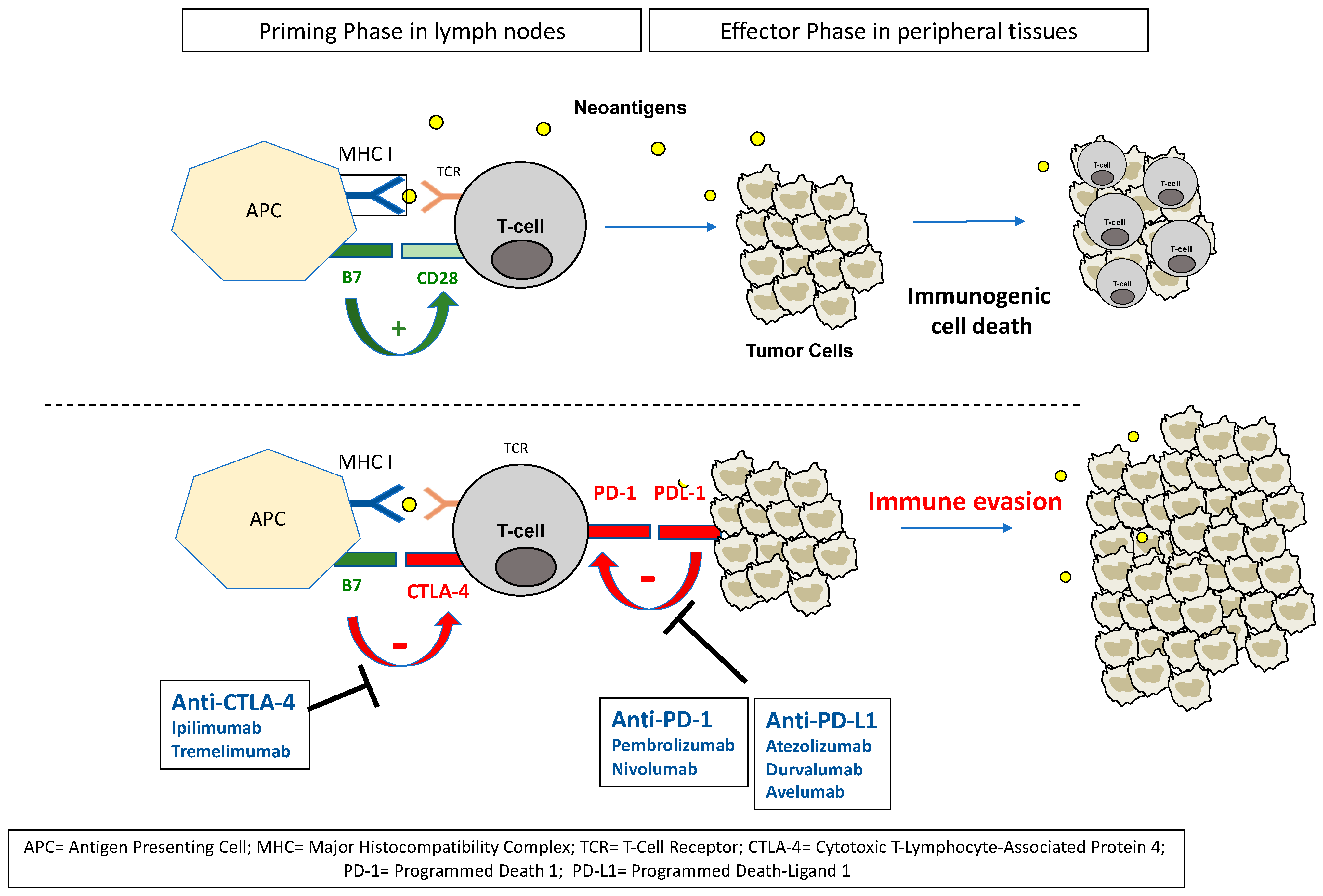 Cancers 14 01640 g001