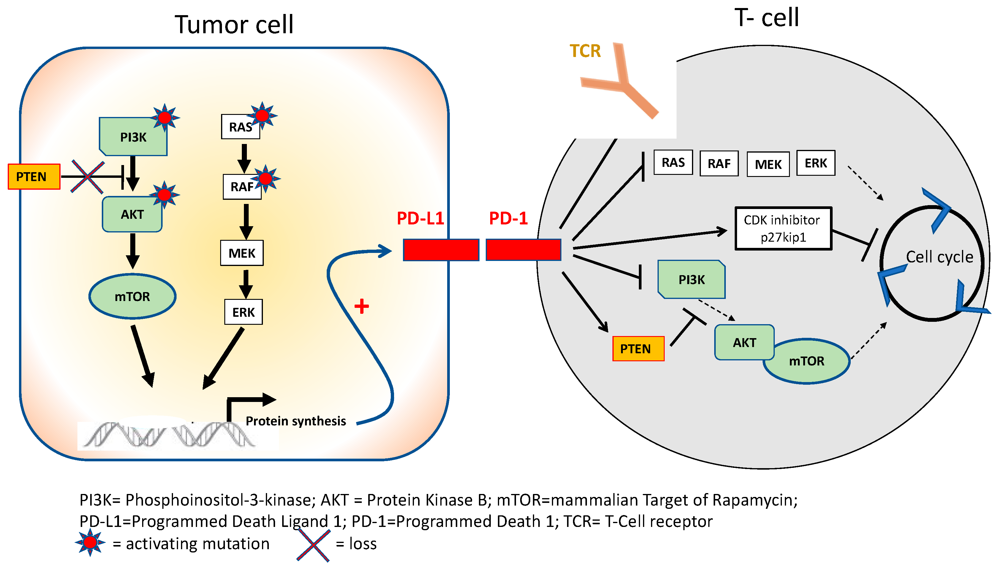 Cancers 14 01640 g002