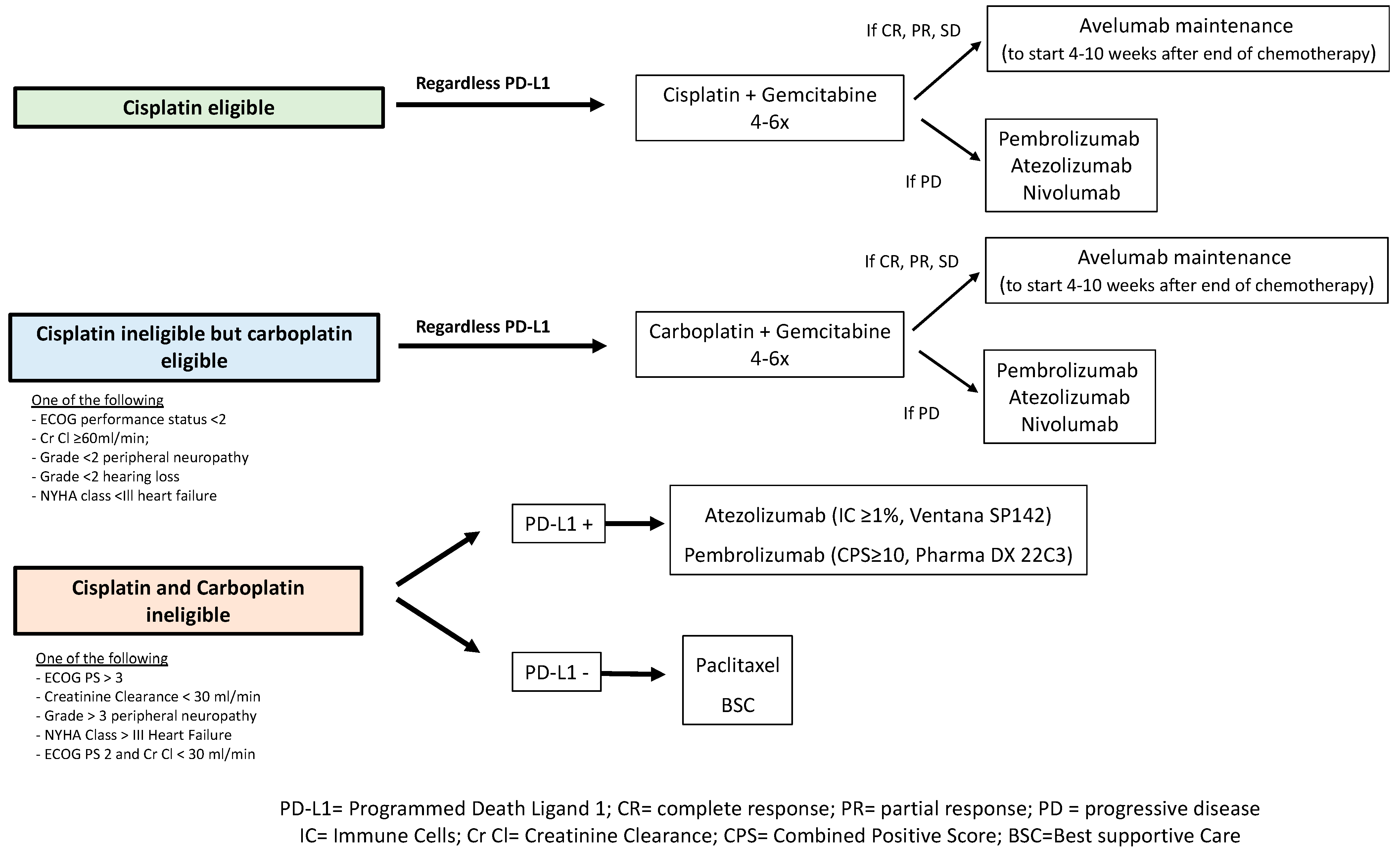 Cancers 14 01640 g003