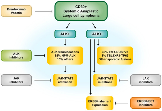 CLL Society Introduces the Protecting Innovation in Rare Cancers