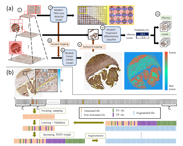 Cancers 14 01651 g002