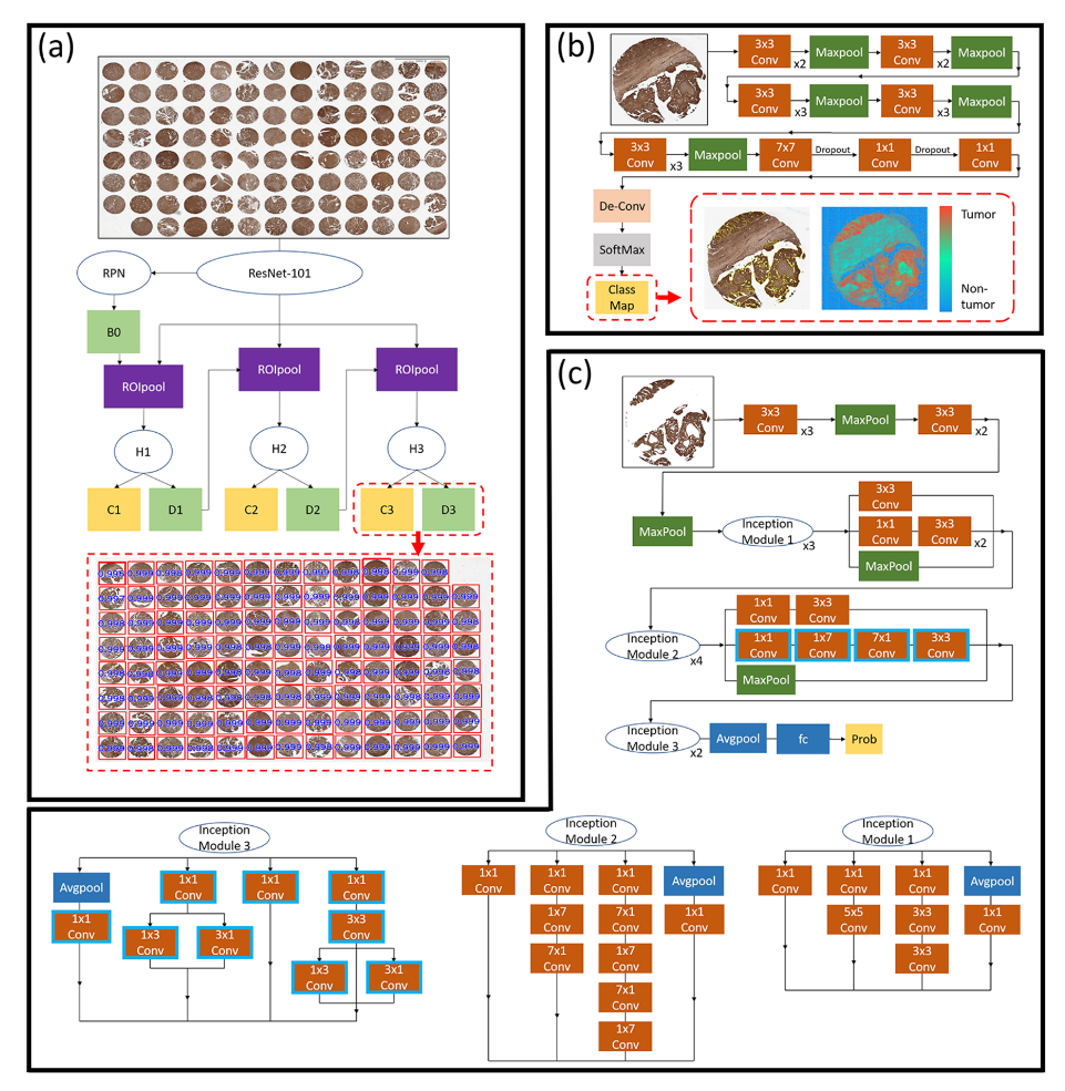 Cancers 14 01651 g003