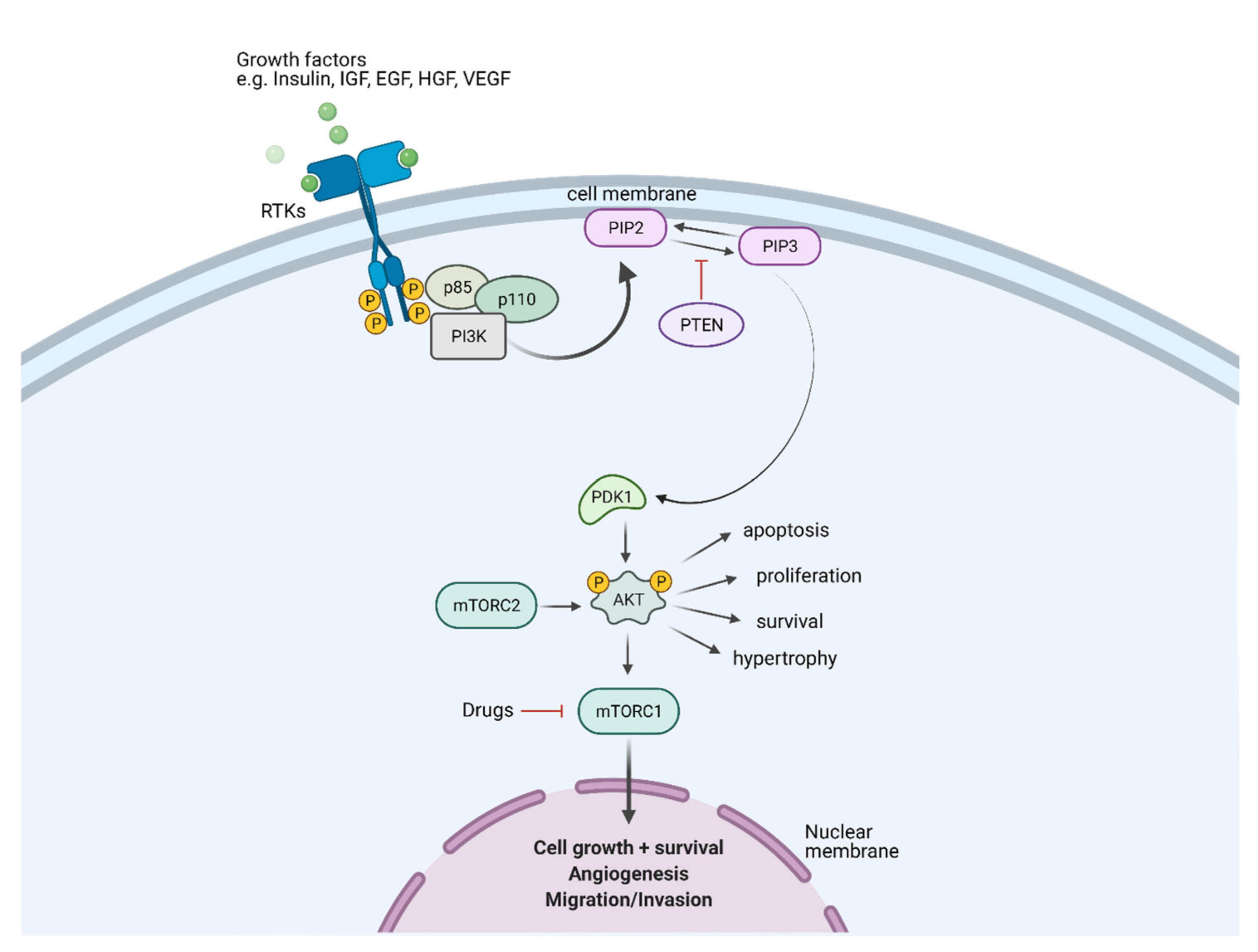 Cancers 14 01652 g001 Cancers 14 01652 g001