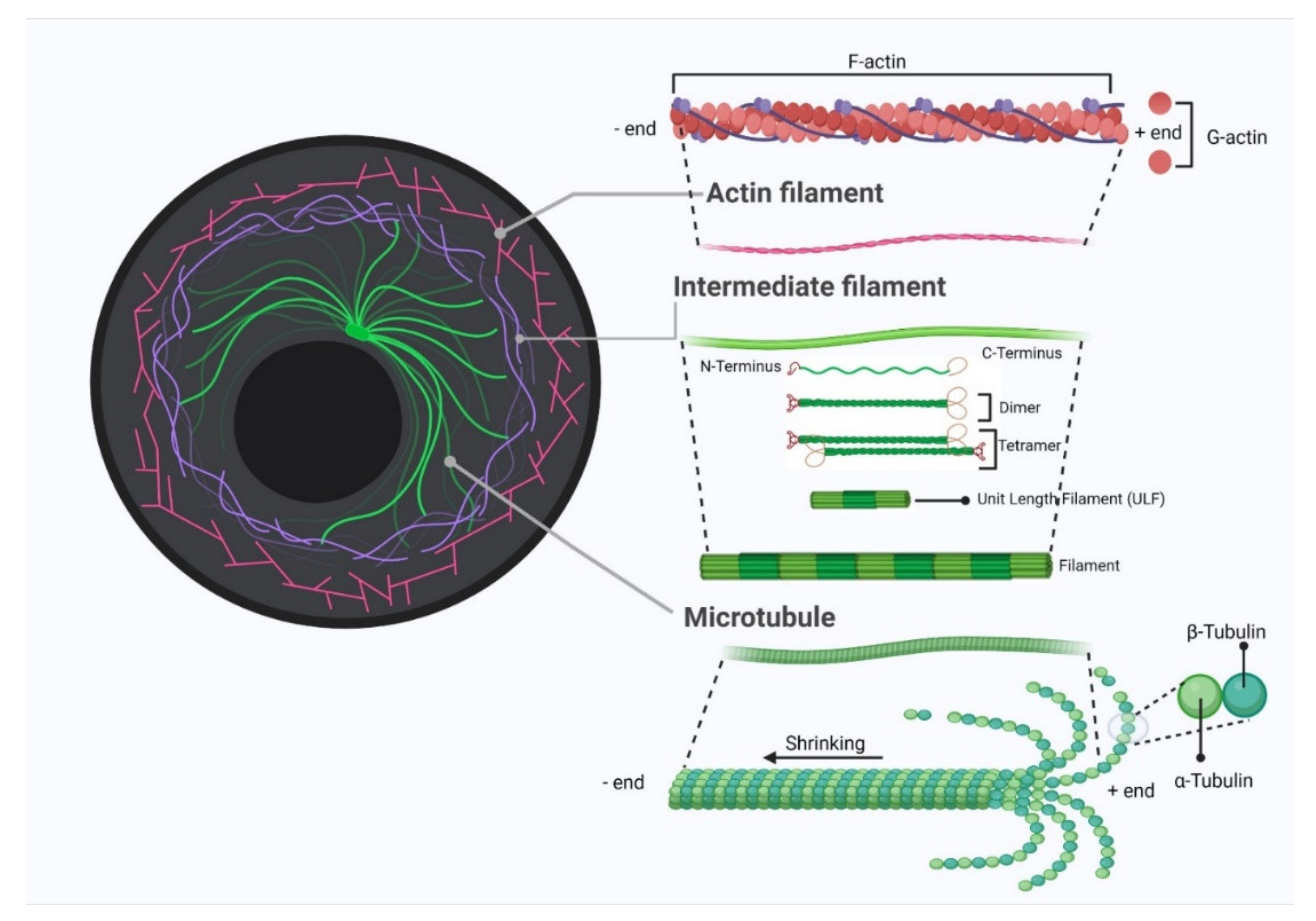Cancers 14 01652 g002 Cancers 14 01652 g002