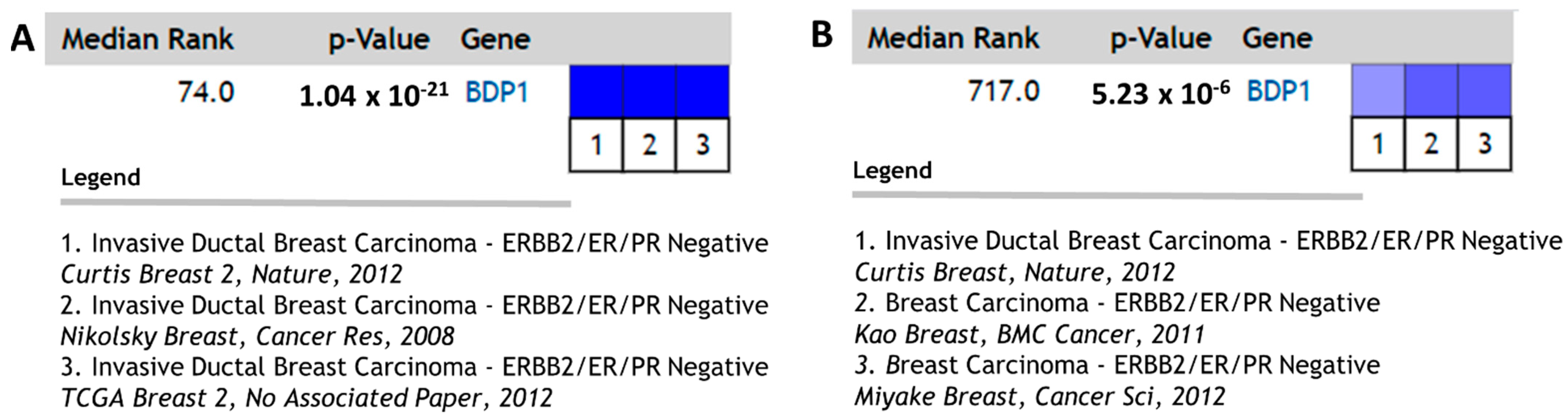 Cancers 14 01658 g005
