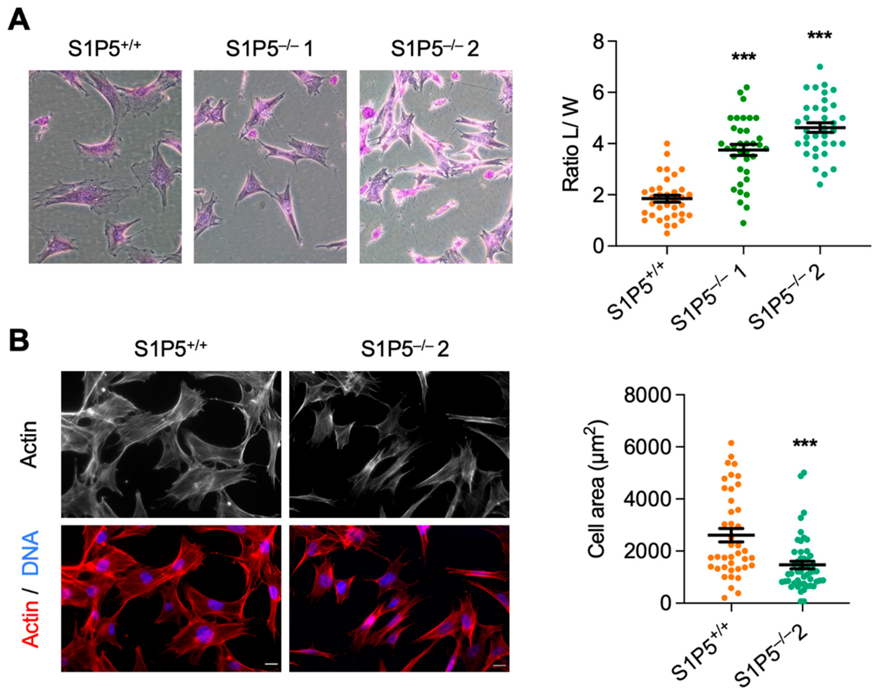 Cancers 14 01661 g002 Cancers 14 01661 g002