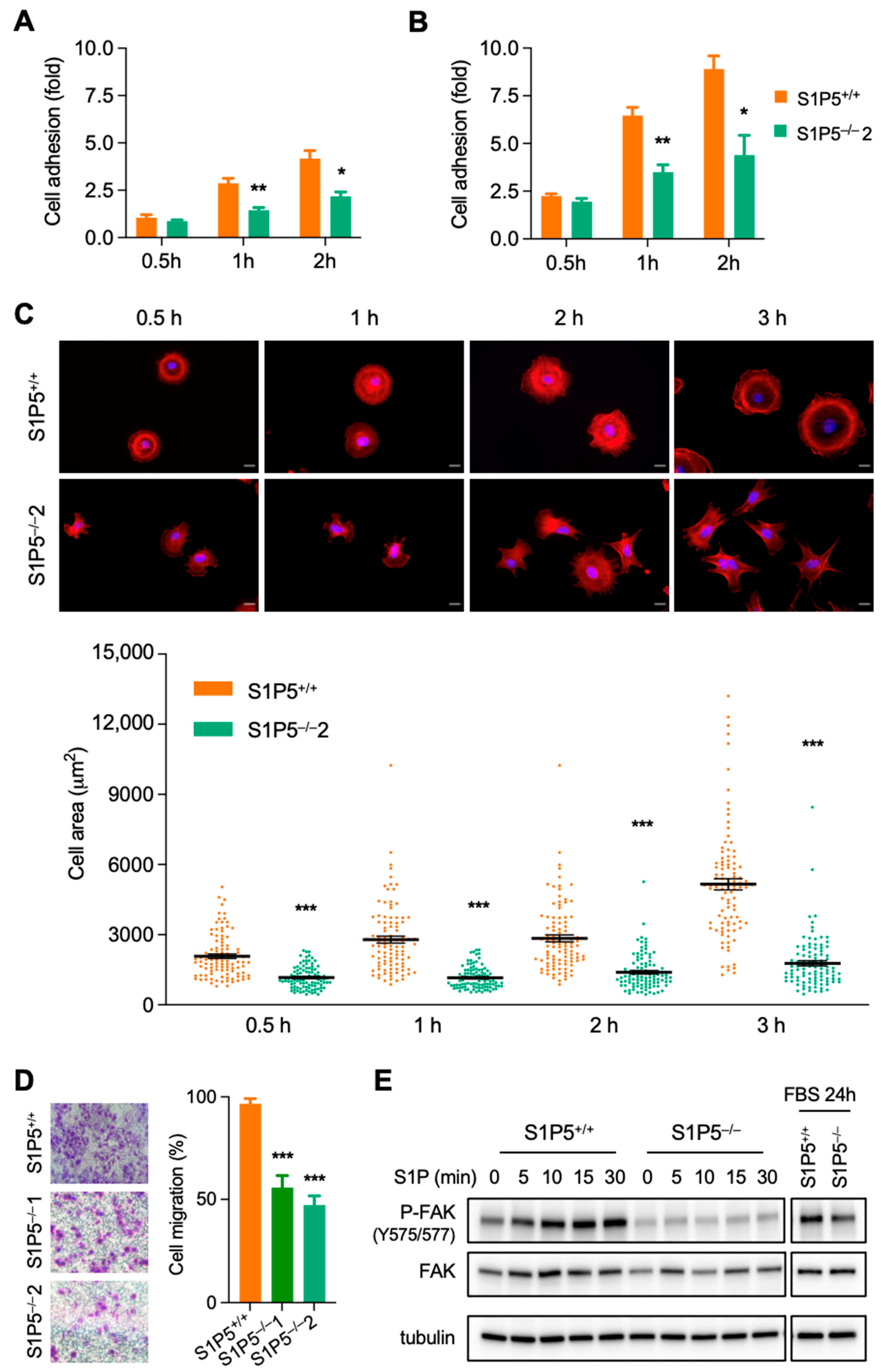 Cancers 14 01661 g003 Cancers 14 01661 g003