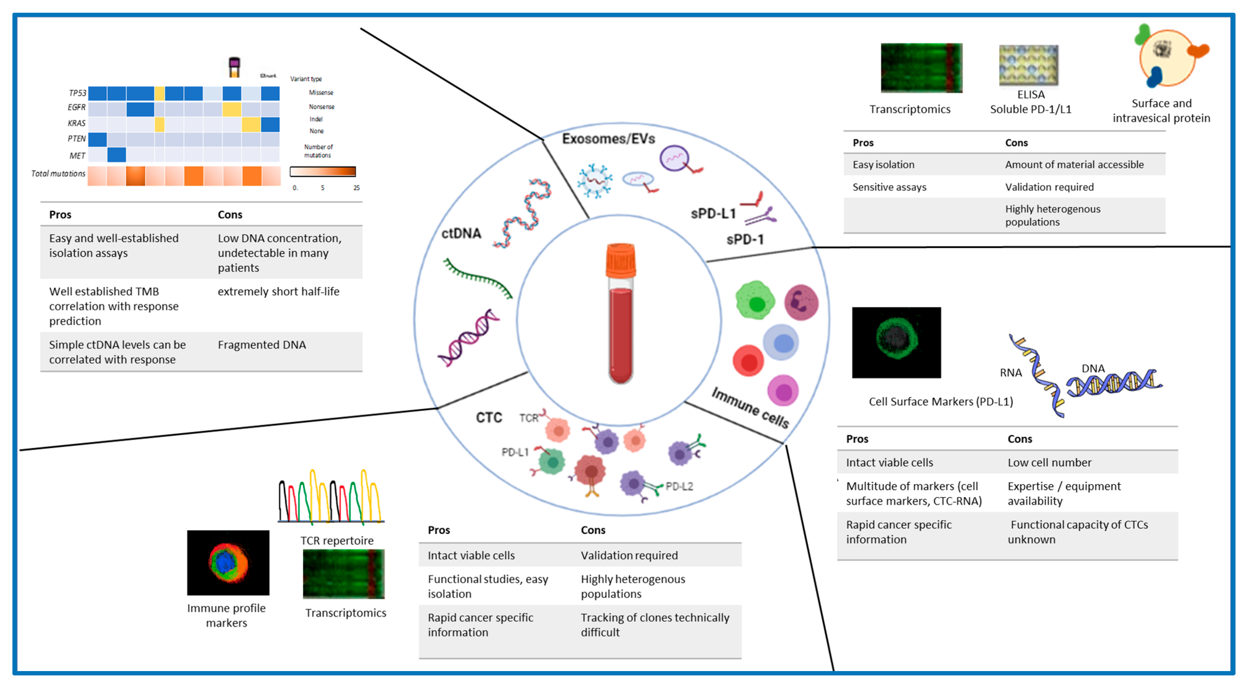 Cancers 14 01669 g002