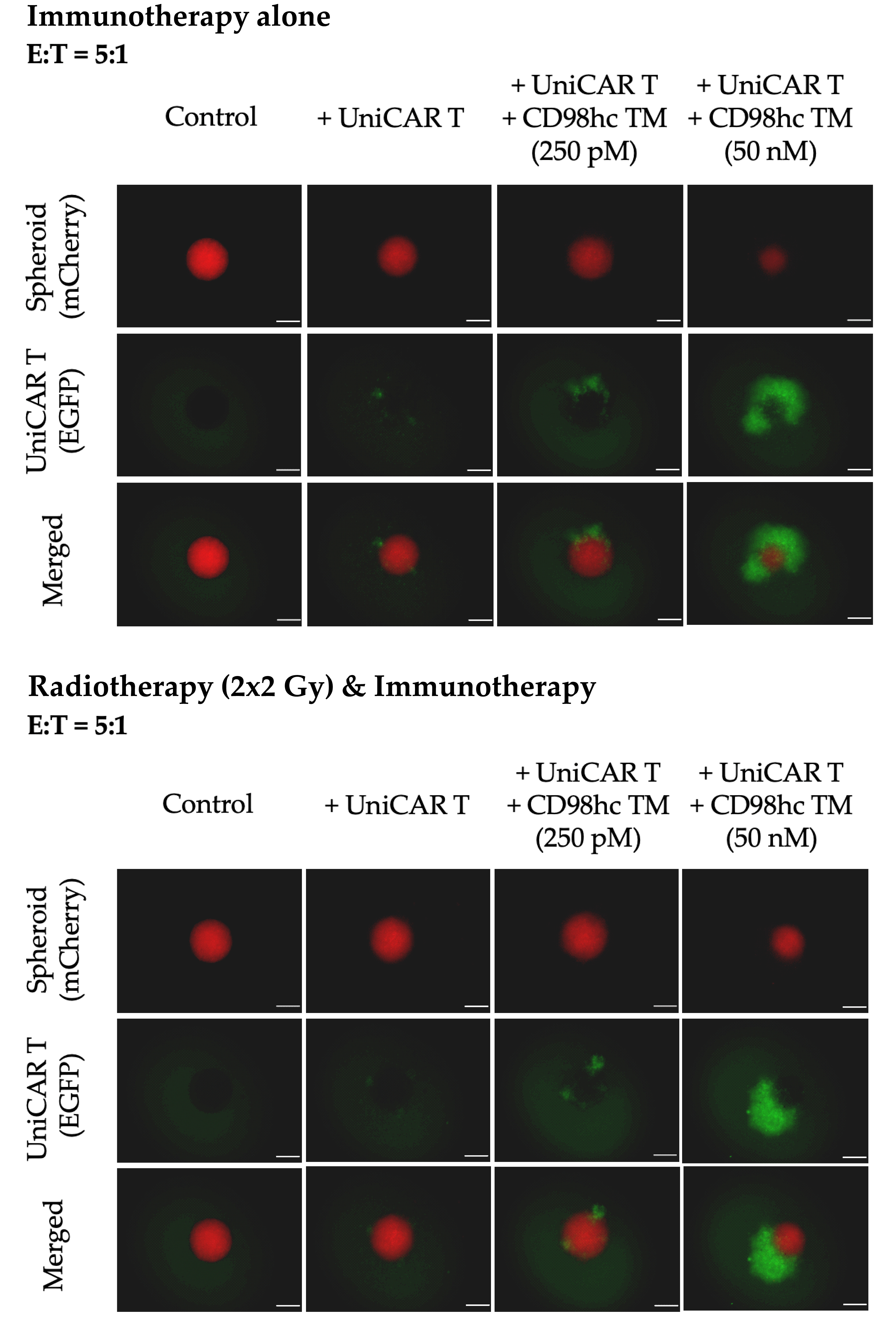 Cancers 14 01677 g005