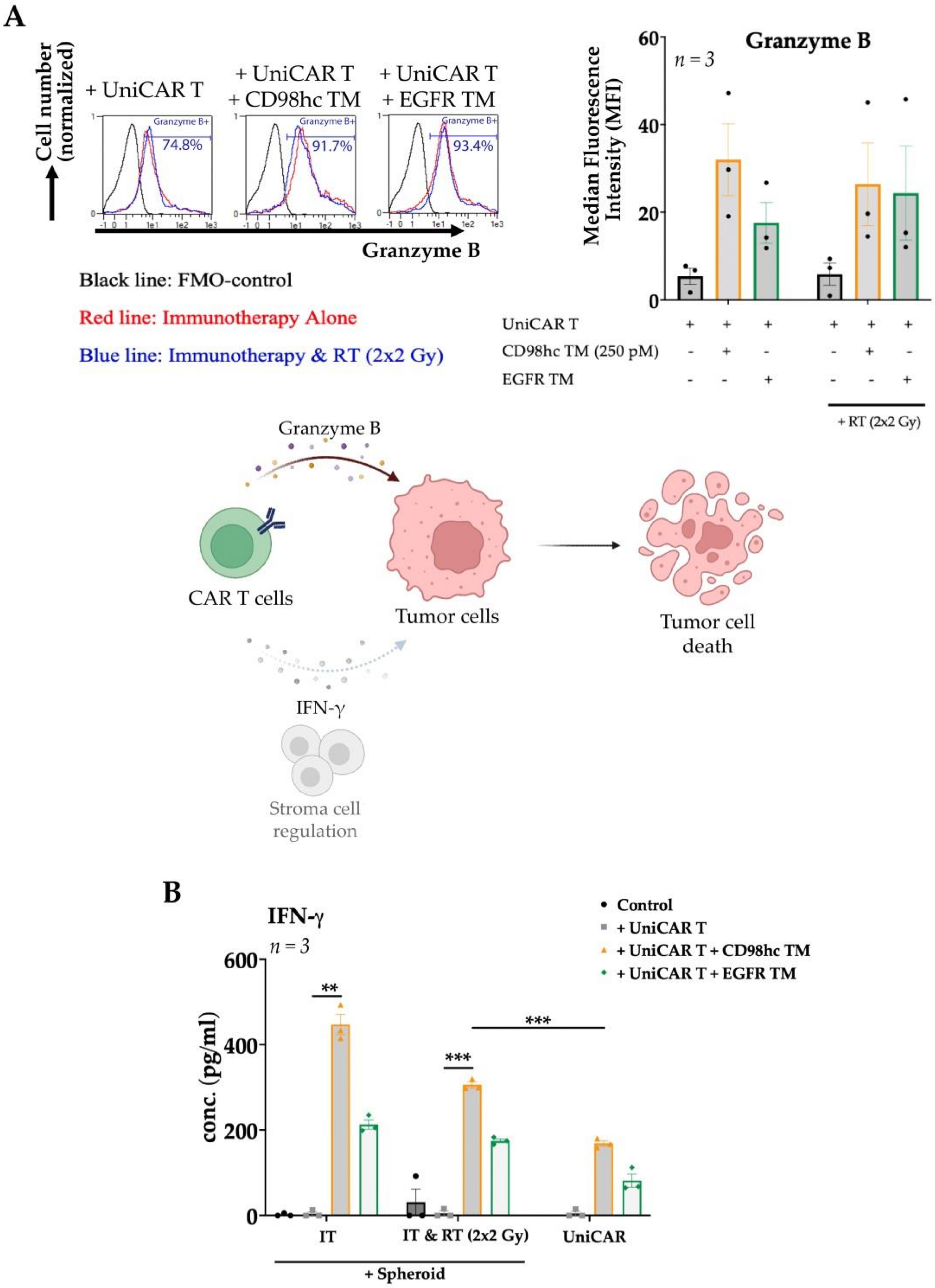 Cancers 14 01677 g006
